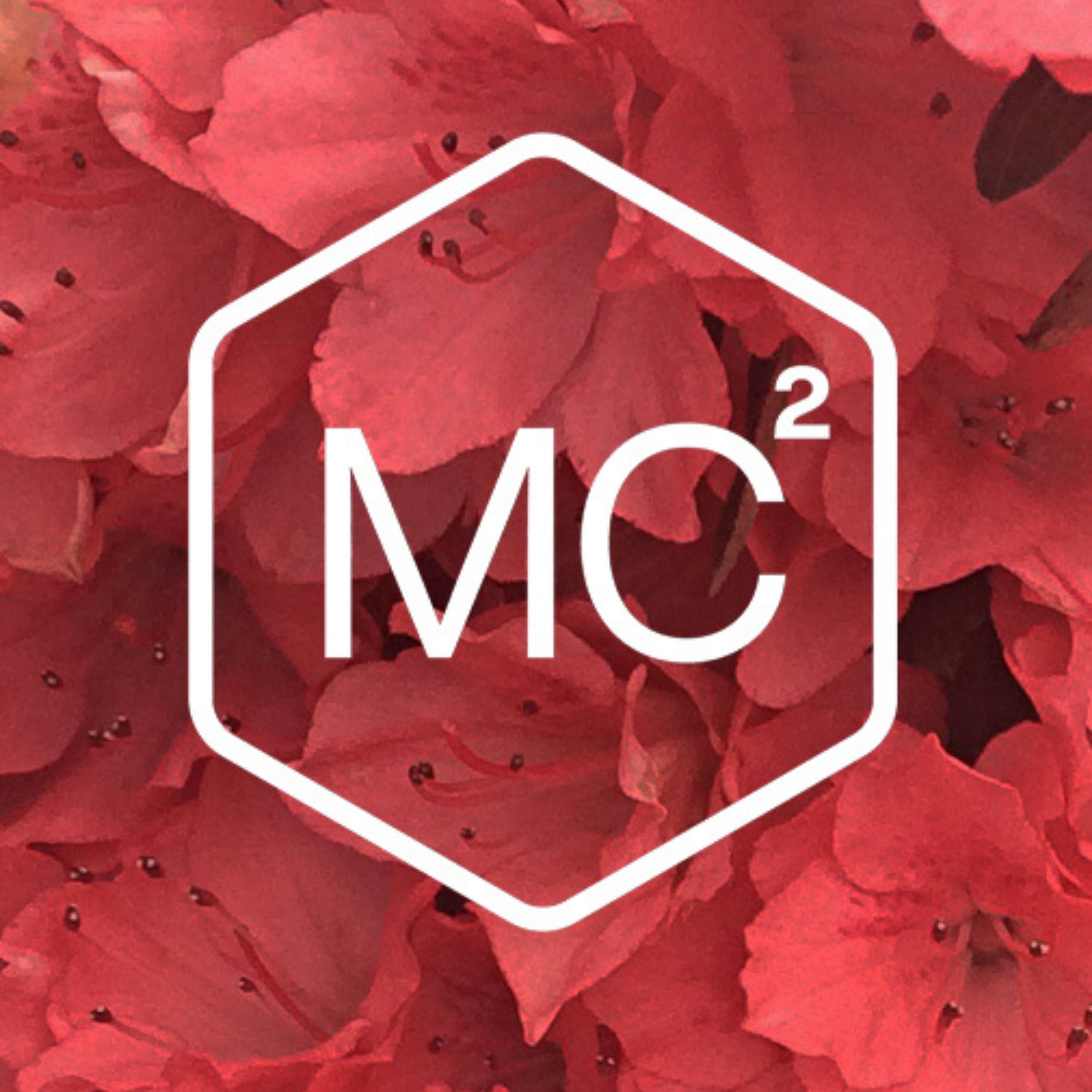 592. A 7-Minute Guided Meditation for Mornings