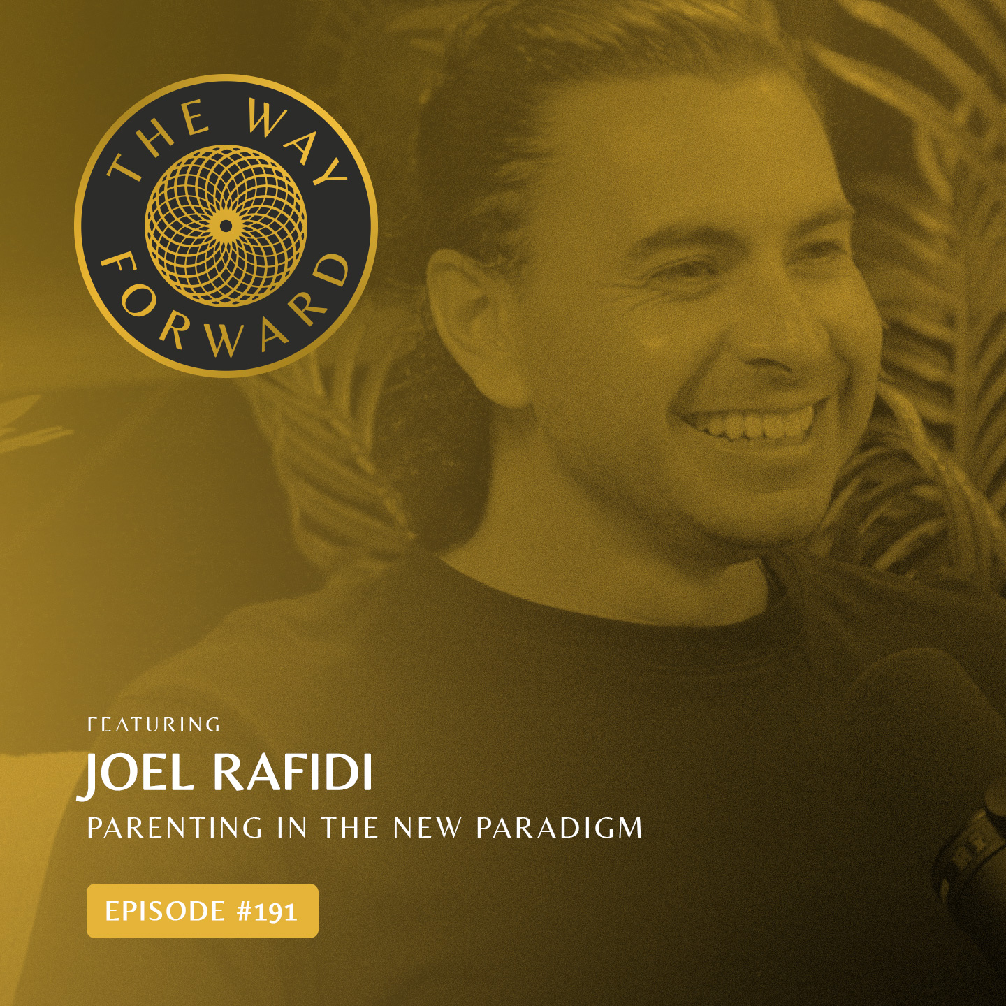 Ep 191: Parenting In The New Paradigm with Joel Rafidi