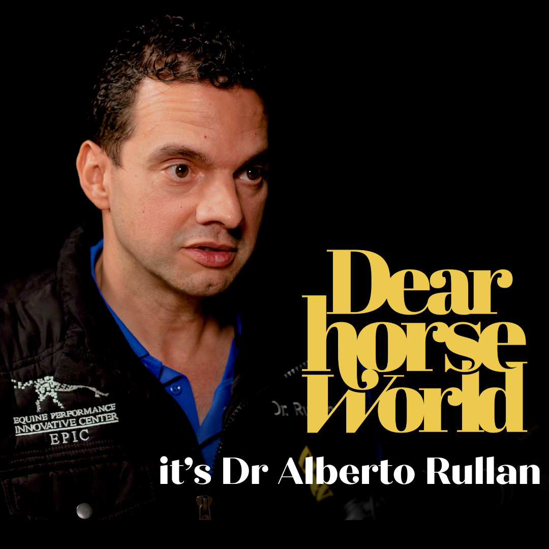 Dear Horse World