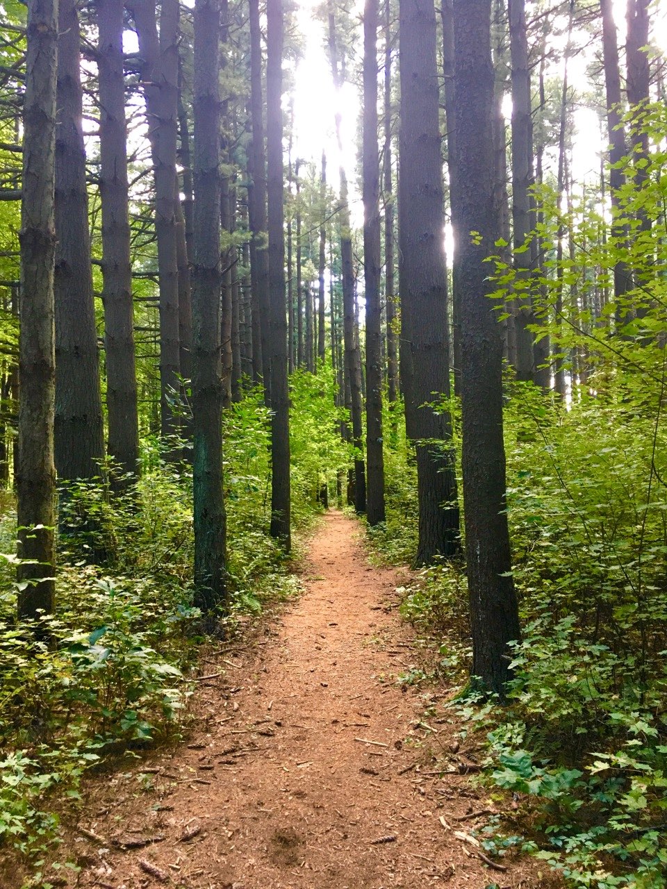 Oak Openings Stampede 50K Ep 21