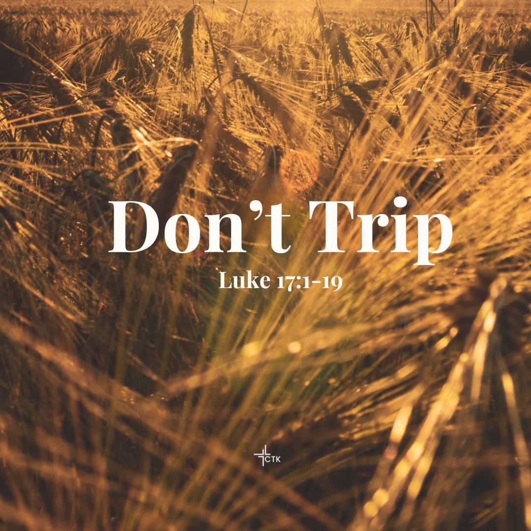 Don't Trip