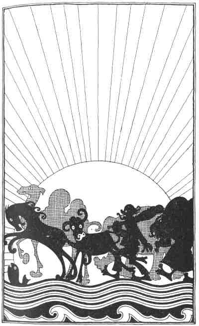 Sand Flat Shadows - An American Fairytale