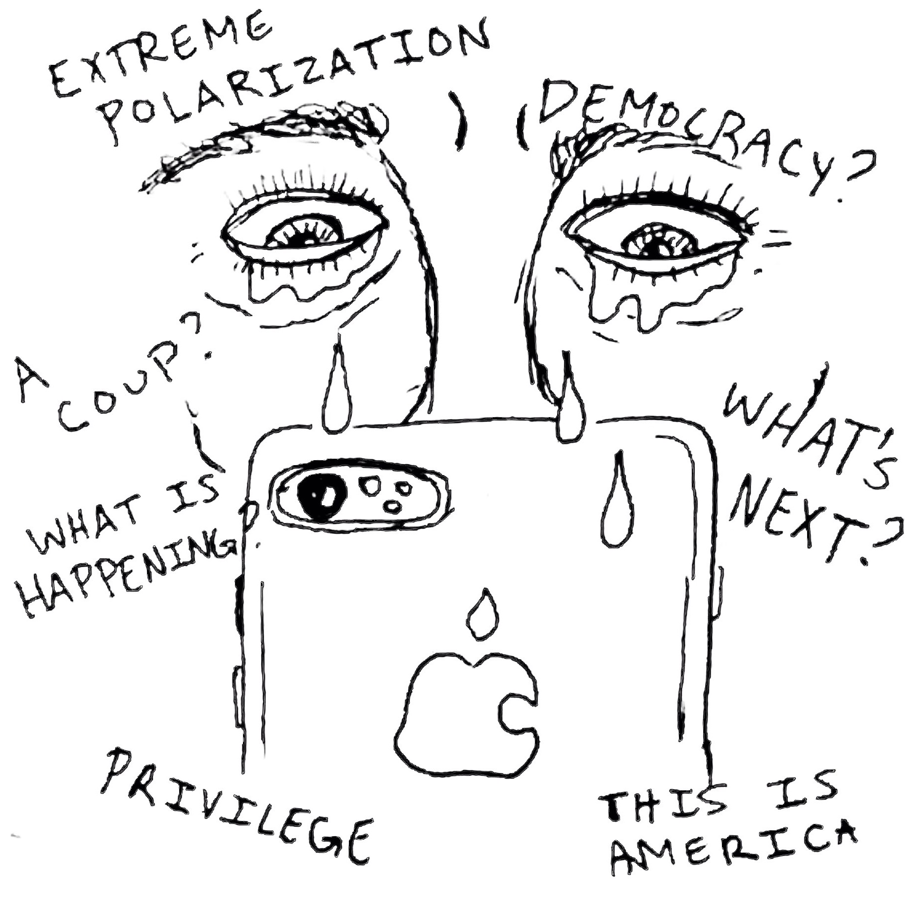 Our Fragile Democracy