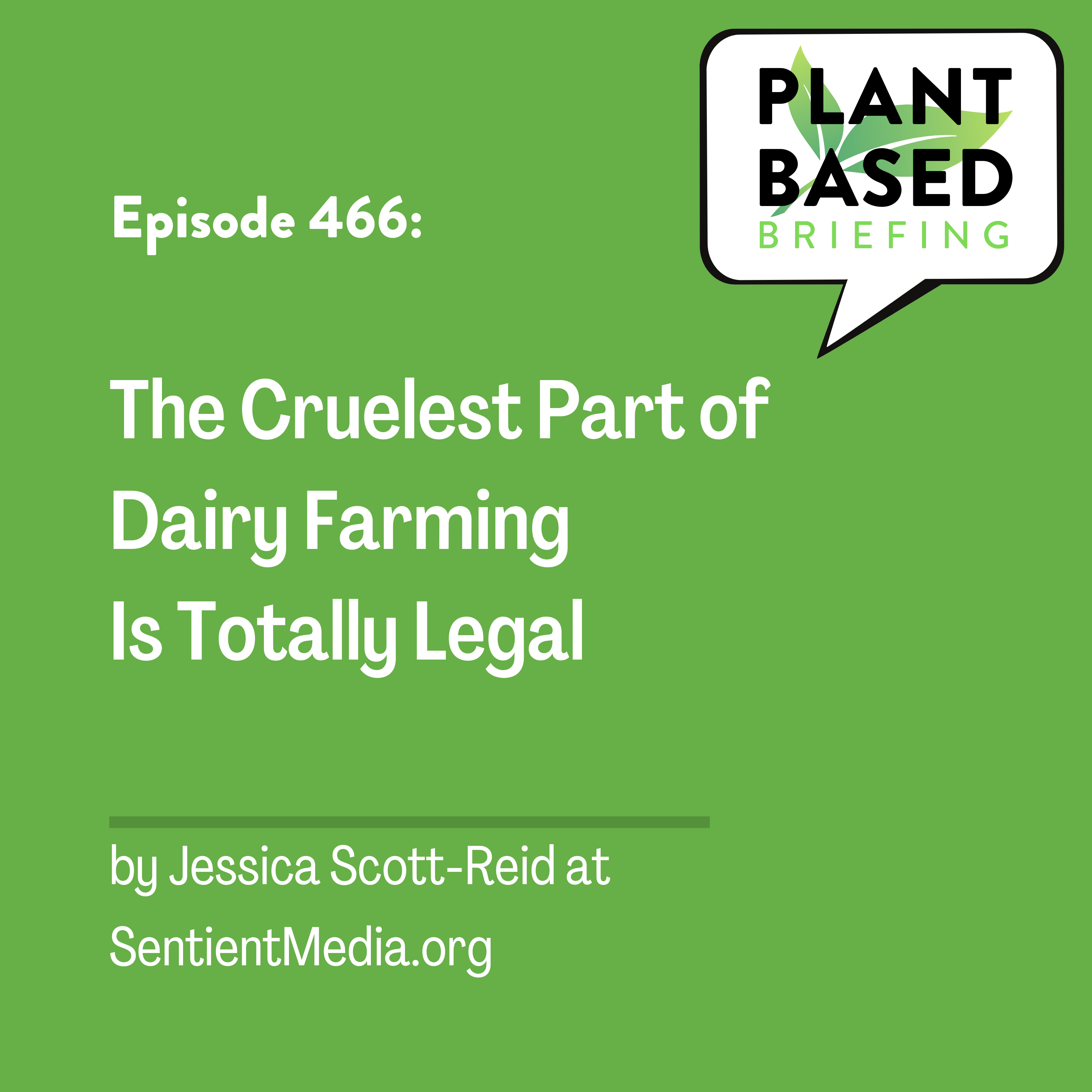 Plant Based Briefing