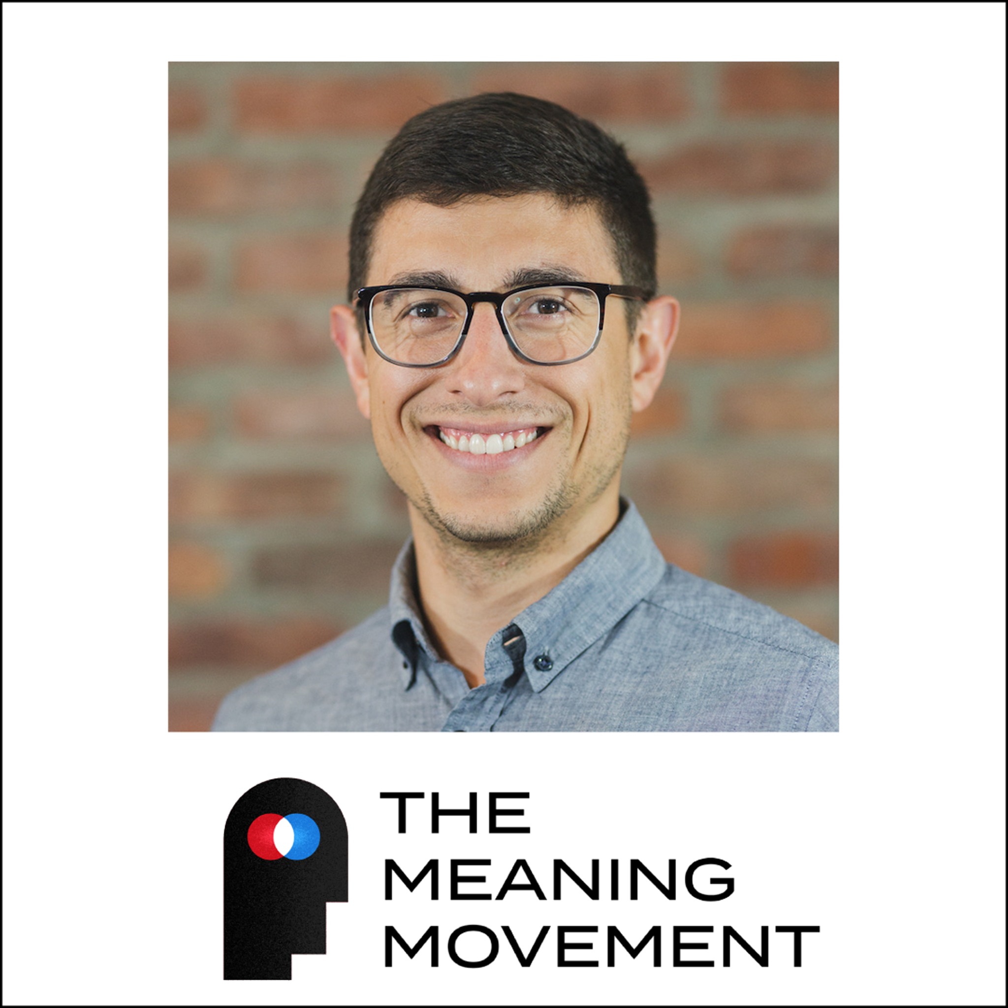 The Meaning Movement: Rediscover your Passion, Avoid Burnout, and Do Work You Love.