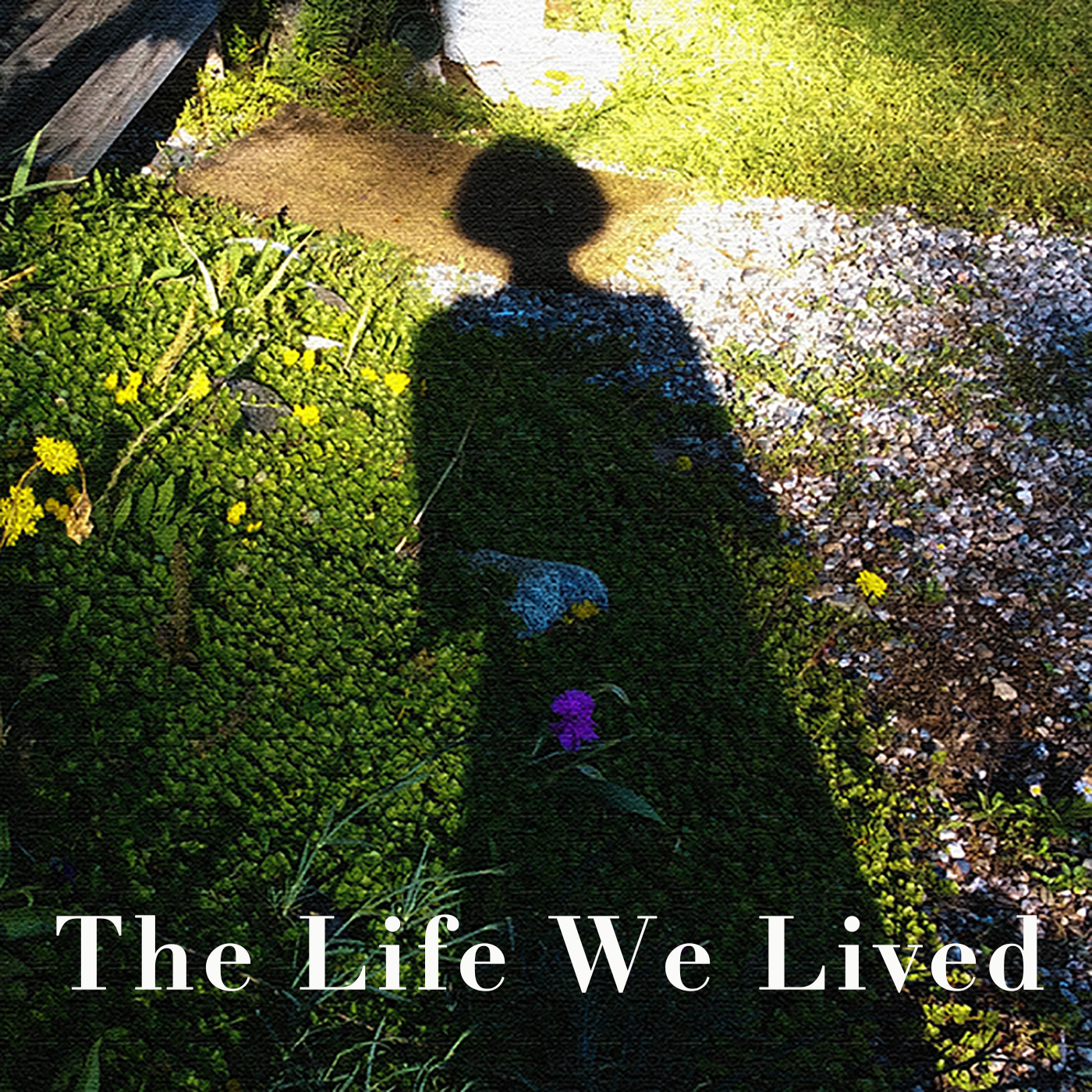 Some Kinda Woman! Stories of Us