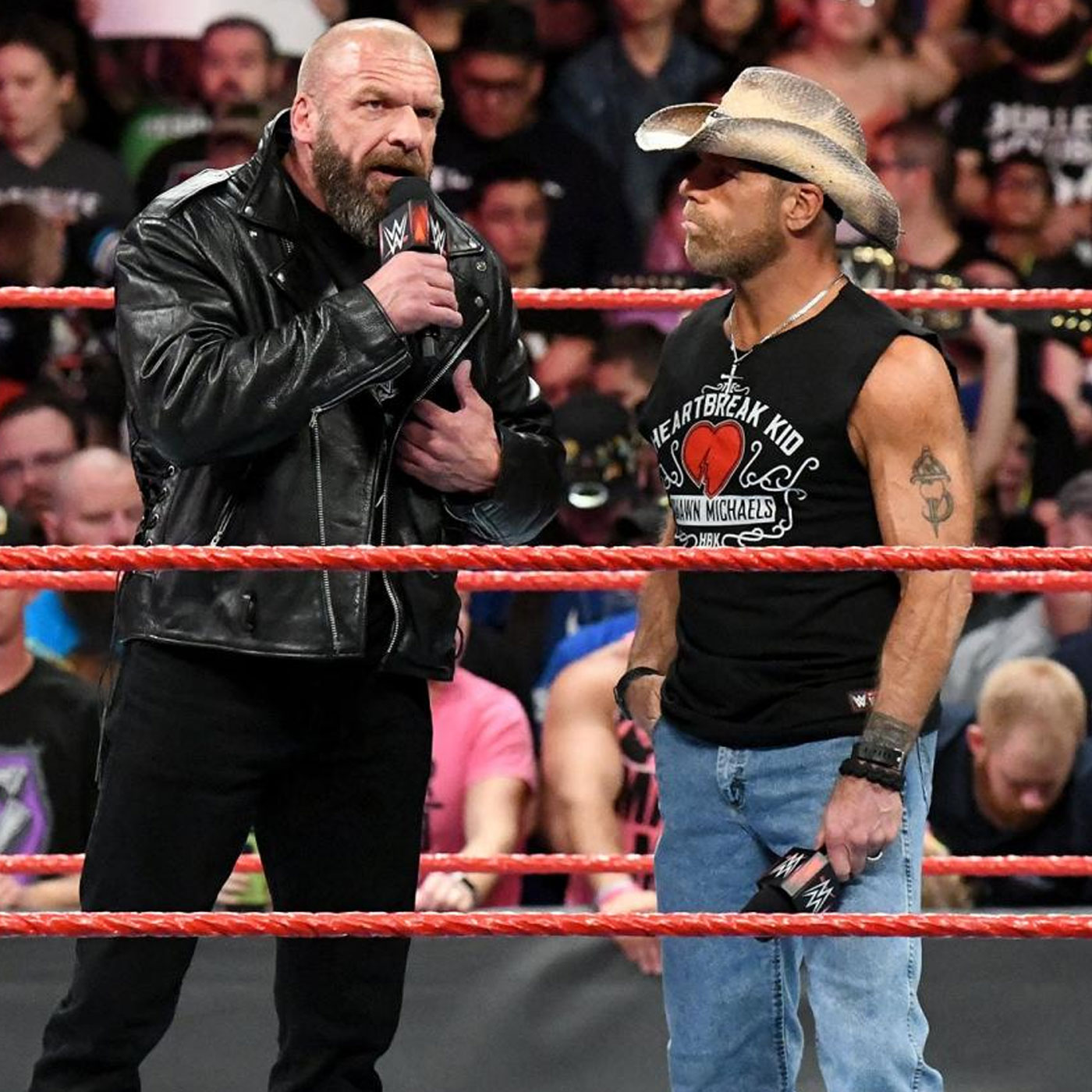 Wrestleview Media
