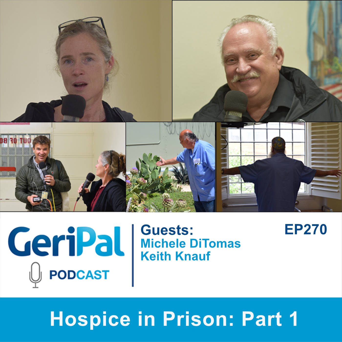 GeriPal - A Geriatrics and Palliative Medicine Podcast