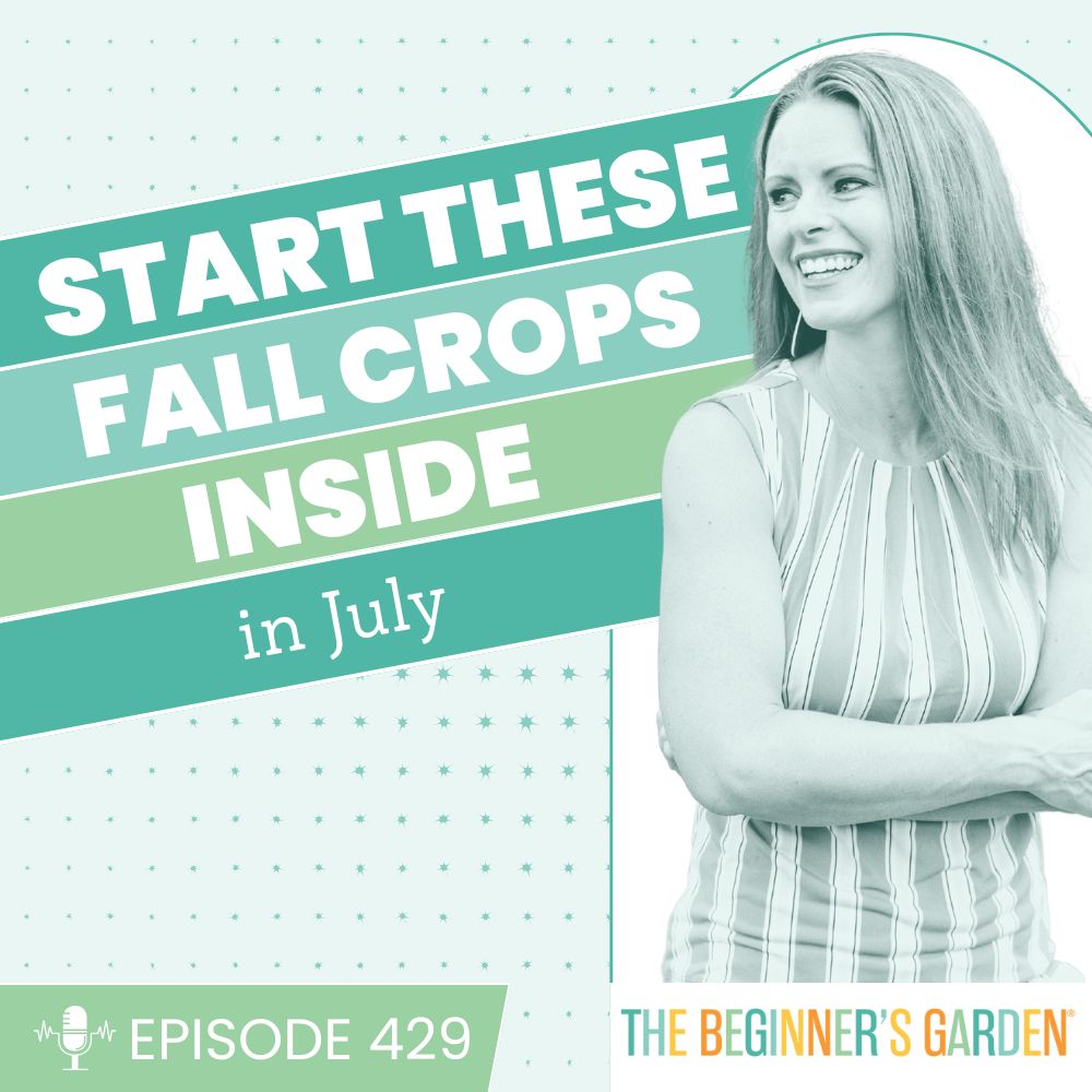 429 - Start these Fall Crops Inside in July
