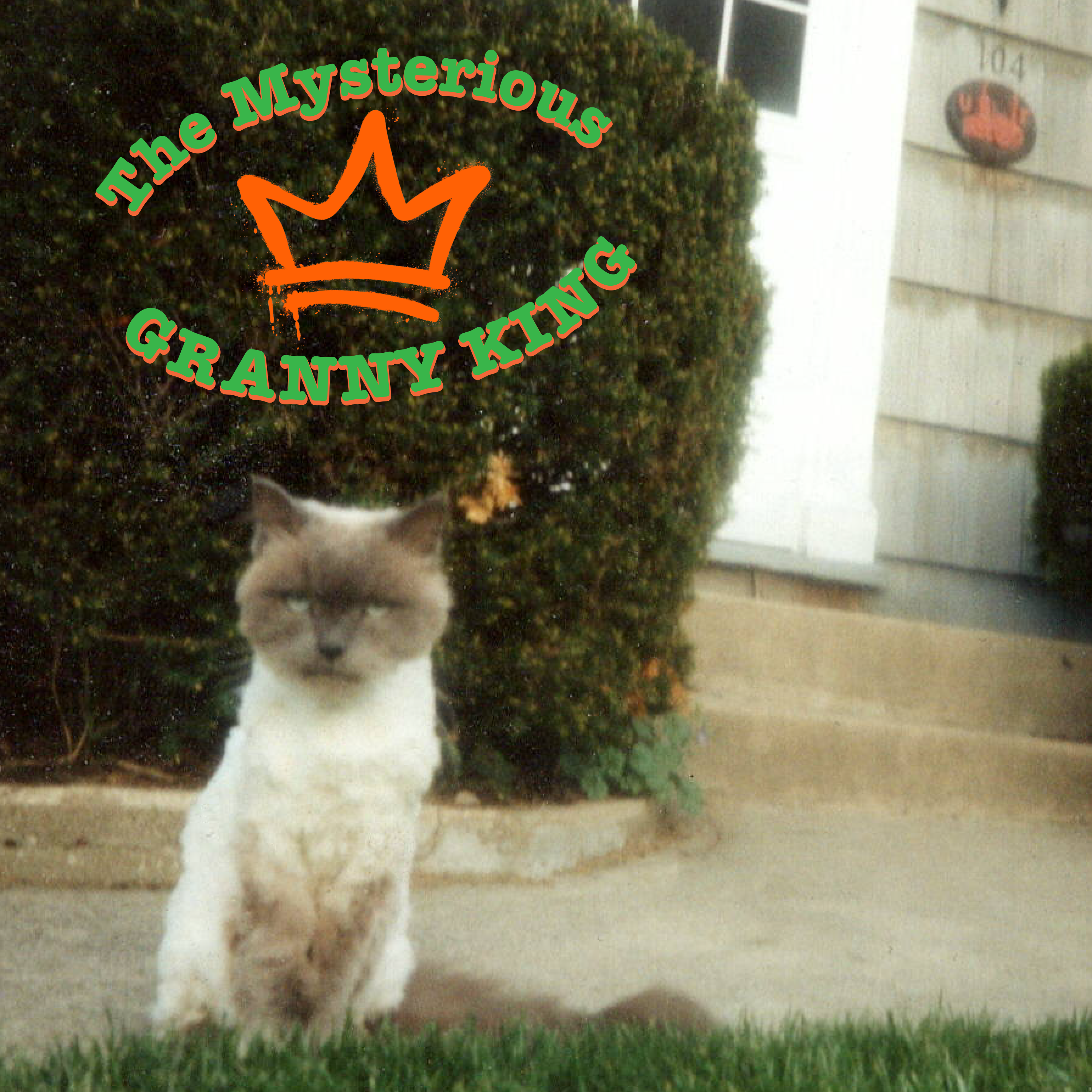 The Mysterious Granny King