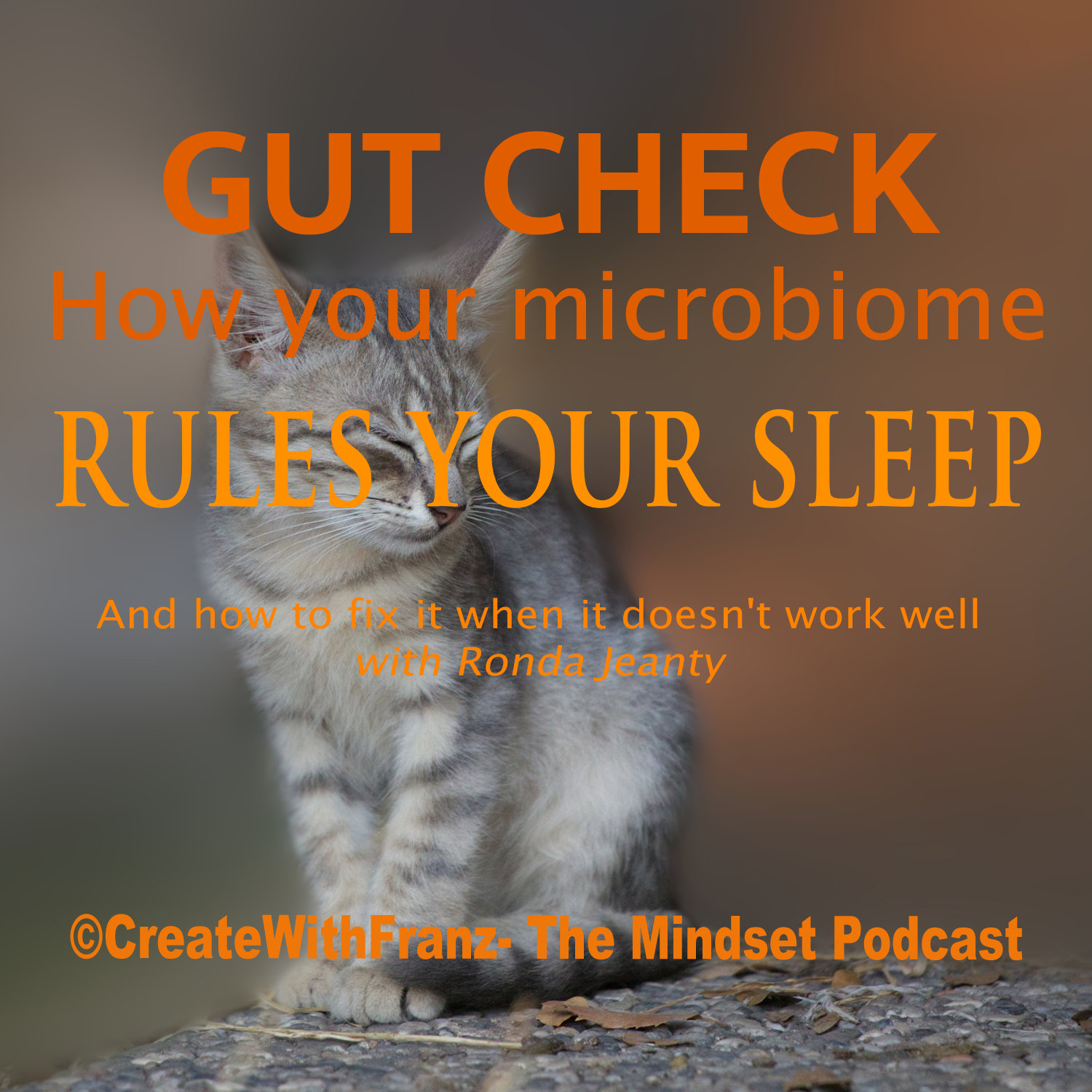 Gut Check: How Your Microbiome Rules Your Sleep (and How to Fix It)