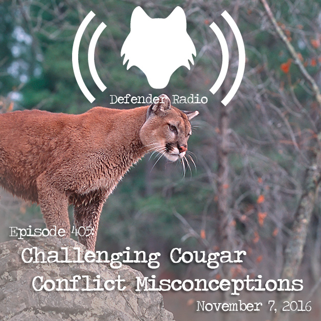 Defender Radio and The Switch