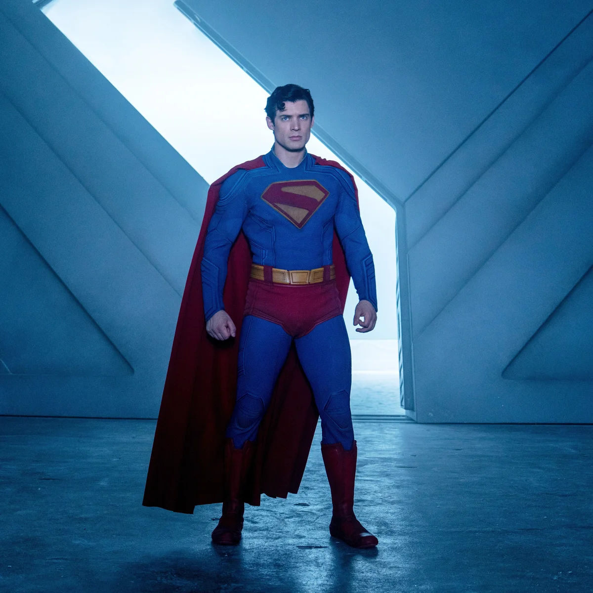 442: Superman Review!!