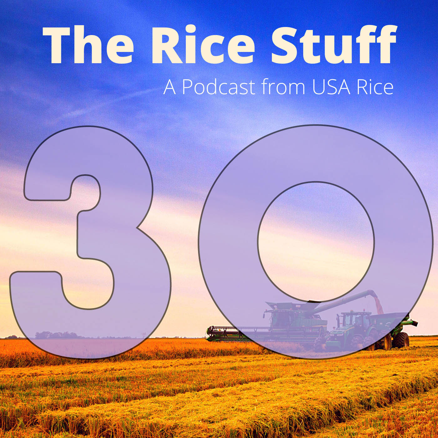 The Rice Stuff