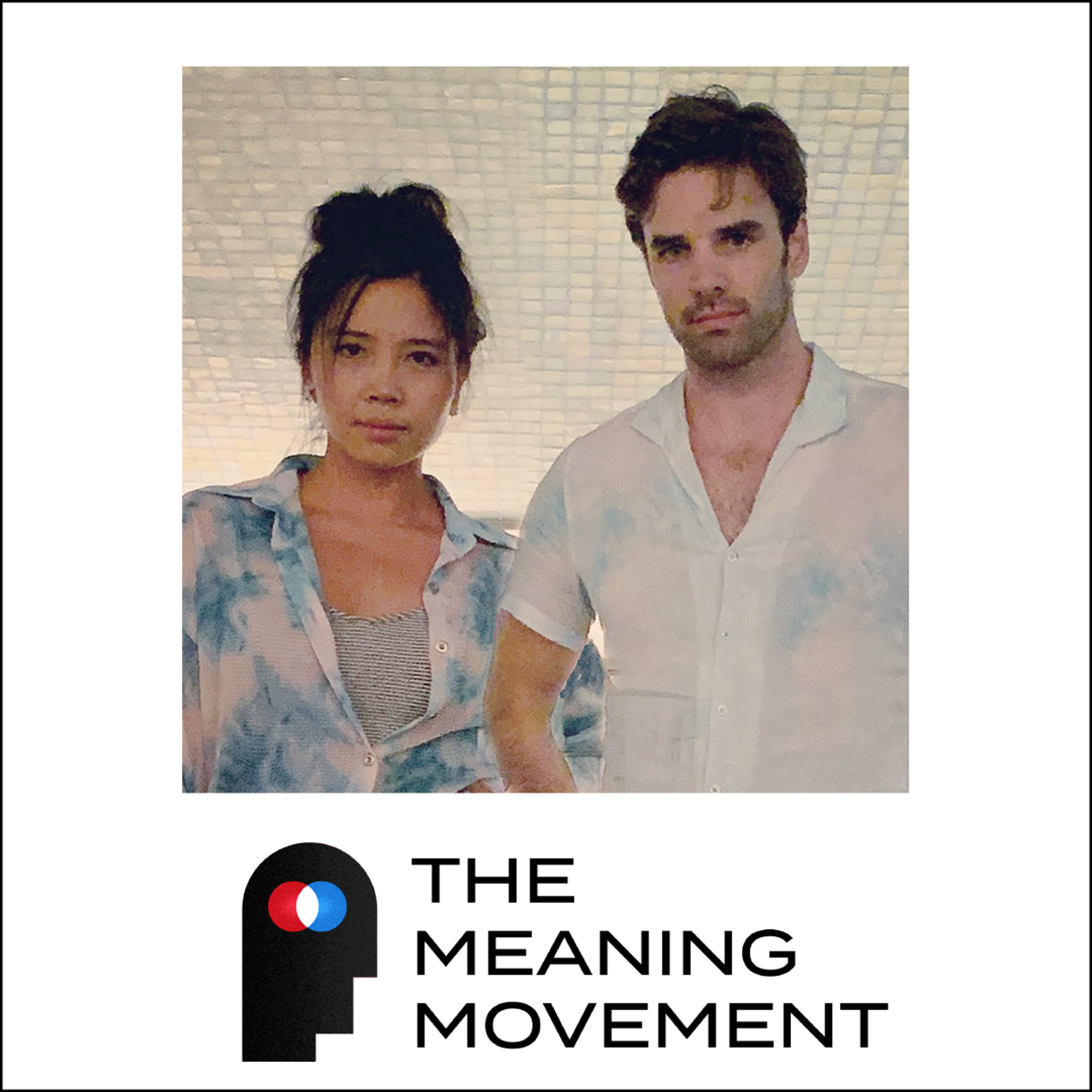 The Meaning Movement: Rediscover your Passion, Avoid Burnout, and Do Work You Love.