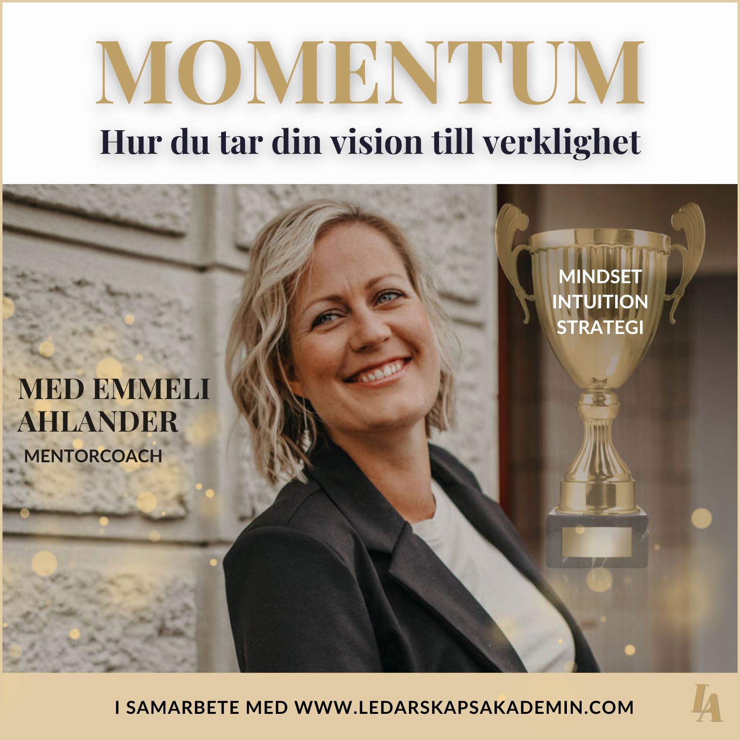 MOMENTUM – vision till verklighet, transformerande ledarskap och frihetsföretagande