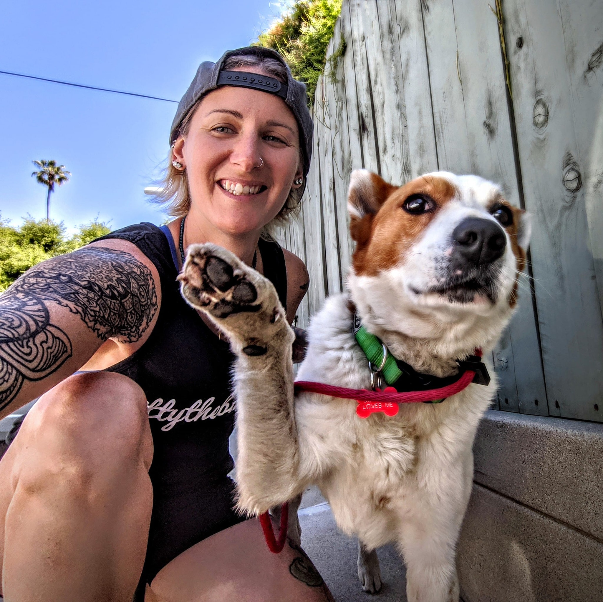 Vermont Dog Trainer Show