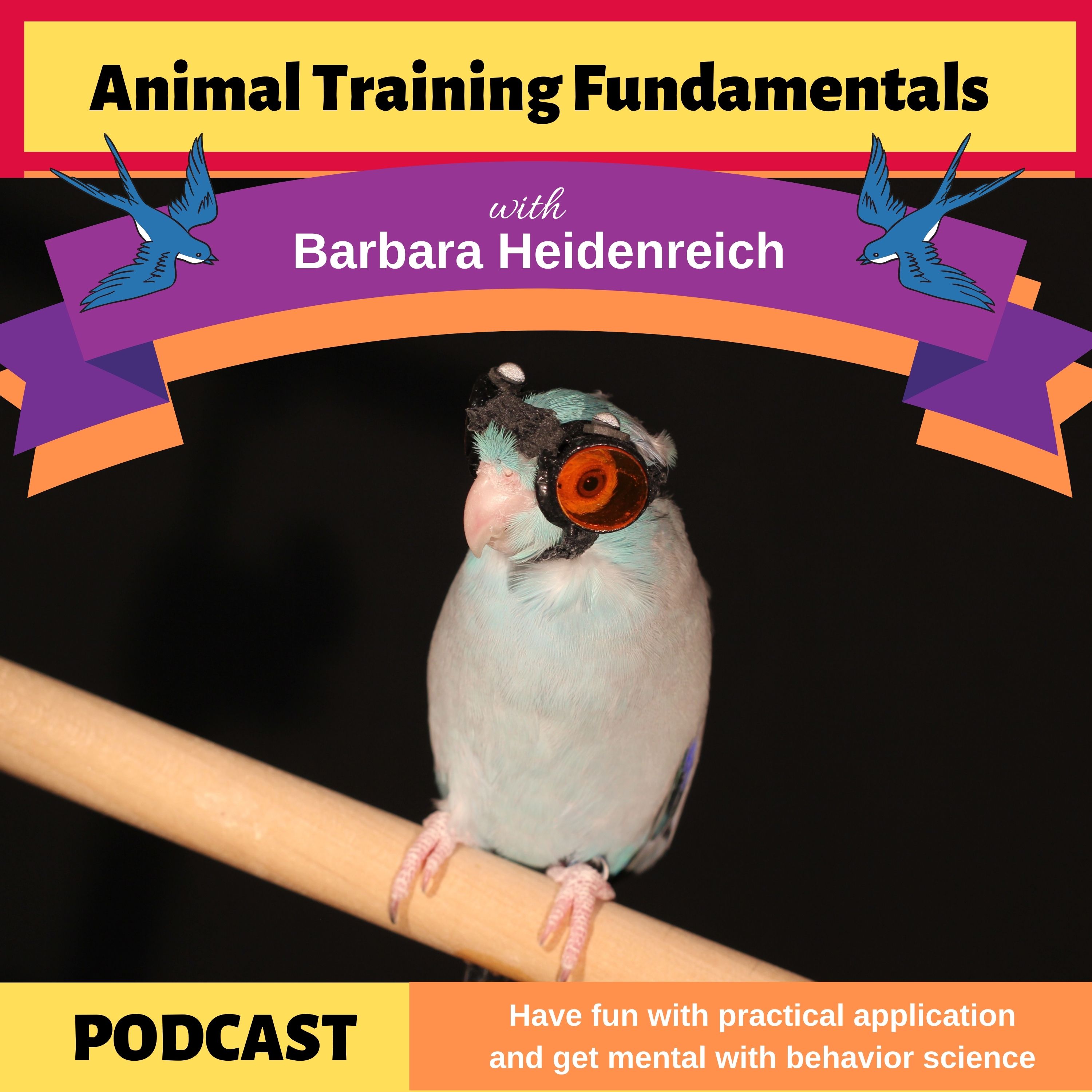 Animal Training Fundamentals with Barbara Heidenreich