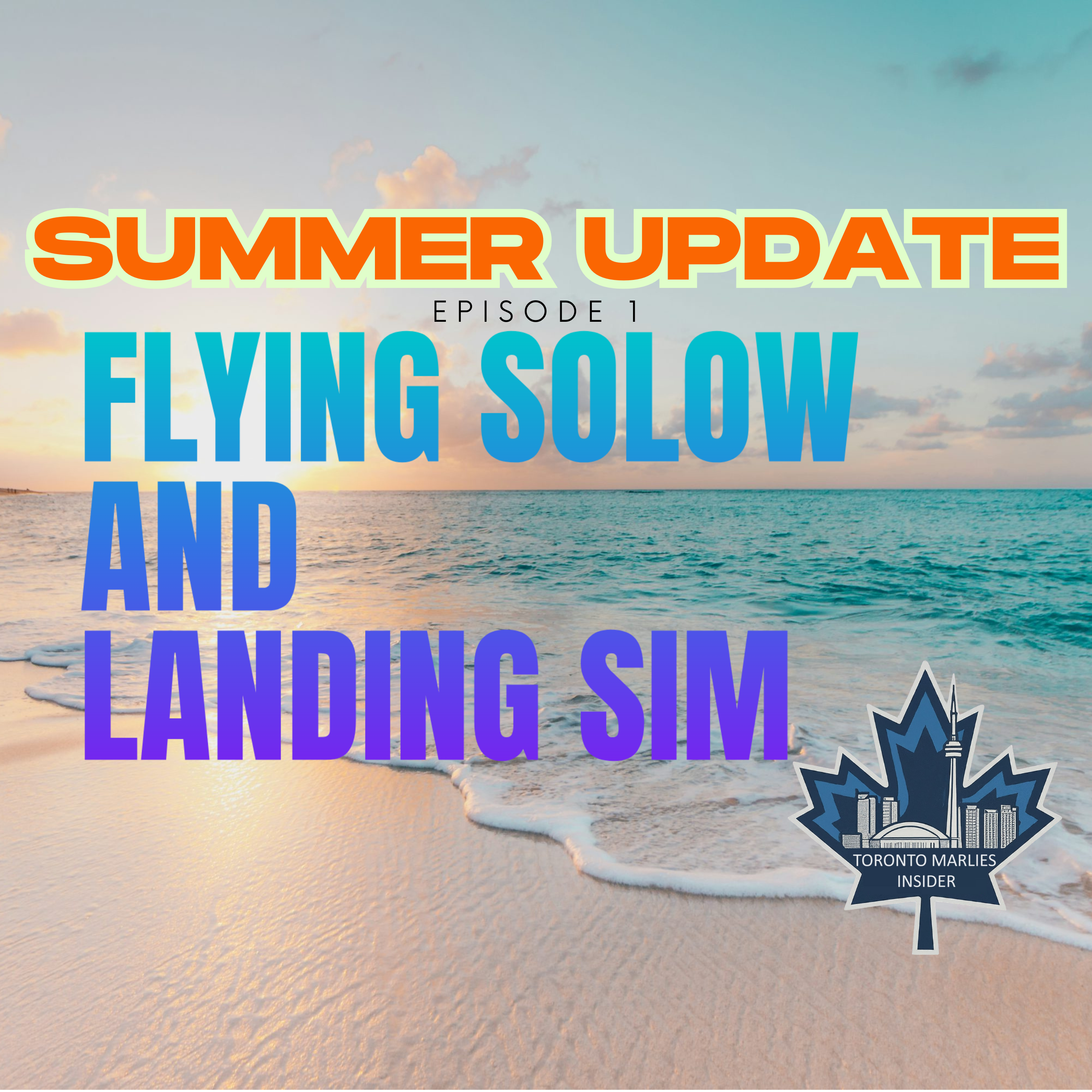 Summer Update Ep. 1 | Flying Solow And Landing Sim