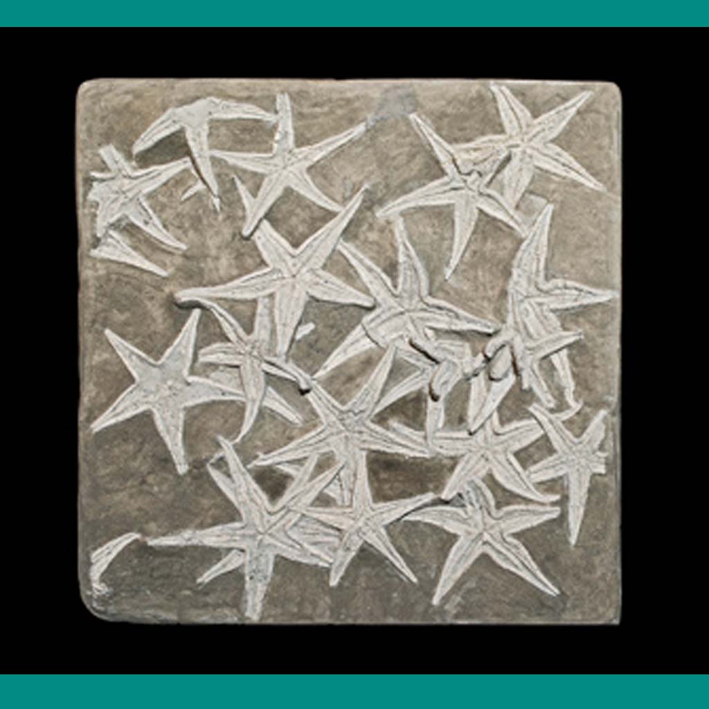 What Children Are Taught About Fossils