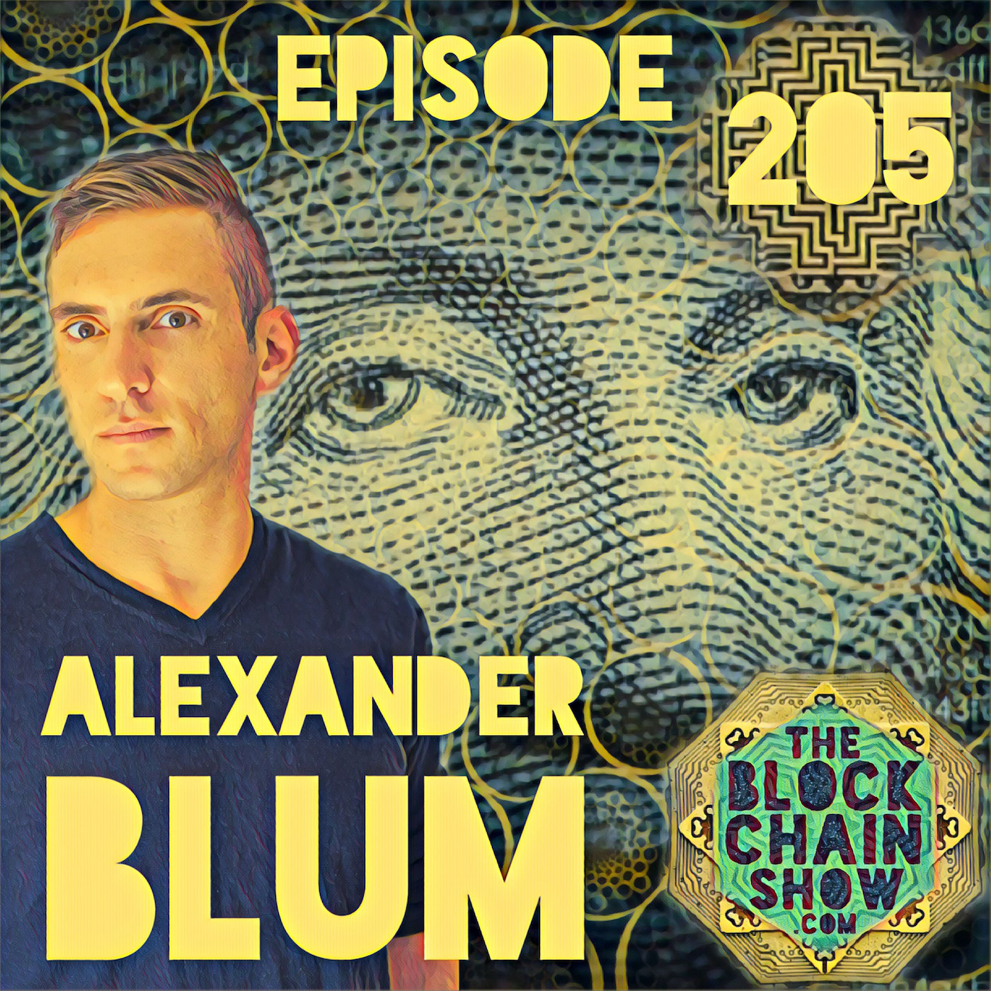 The Blockchain Show