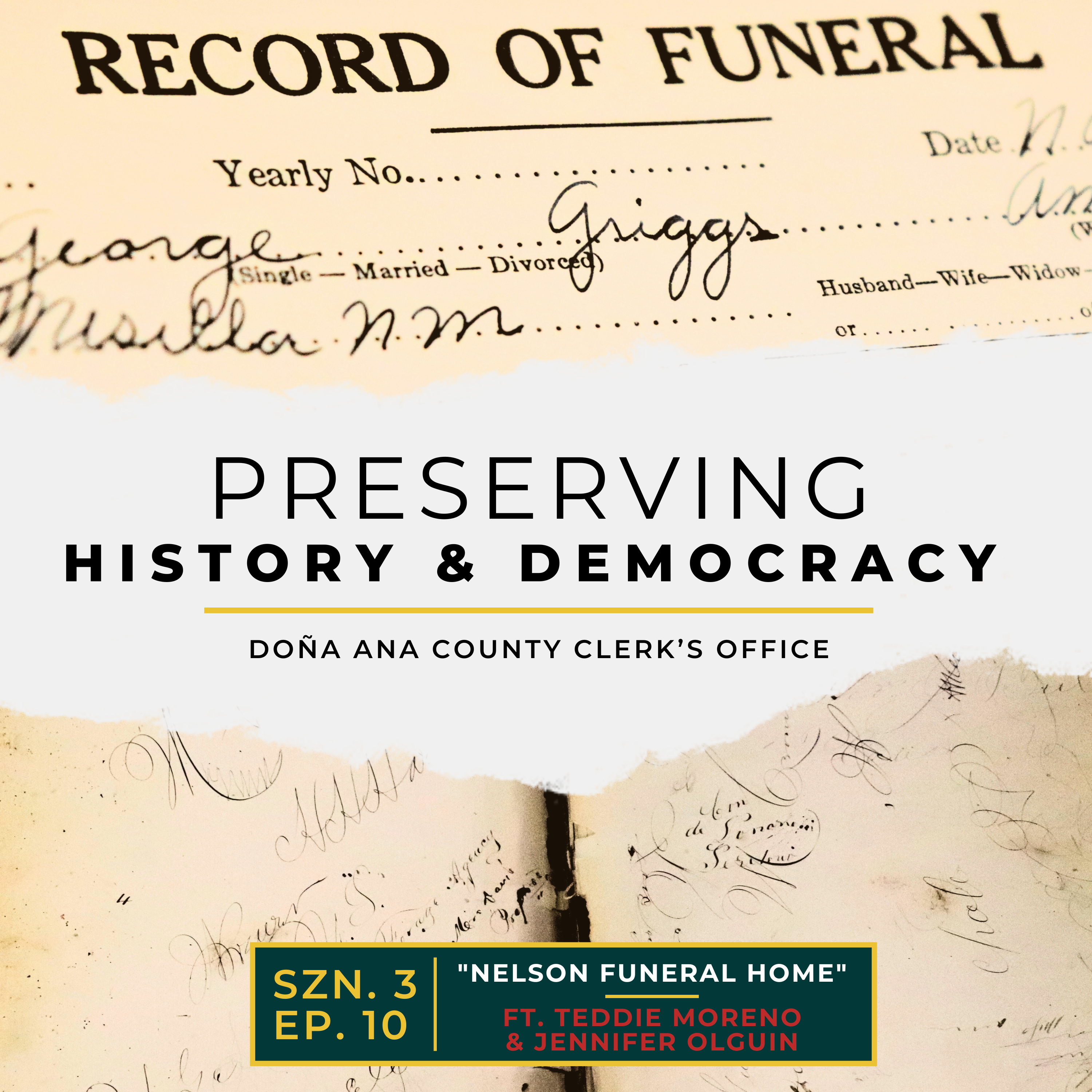 Preserving History and Democracy