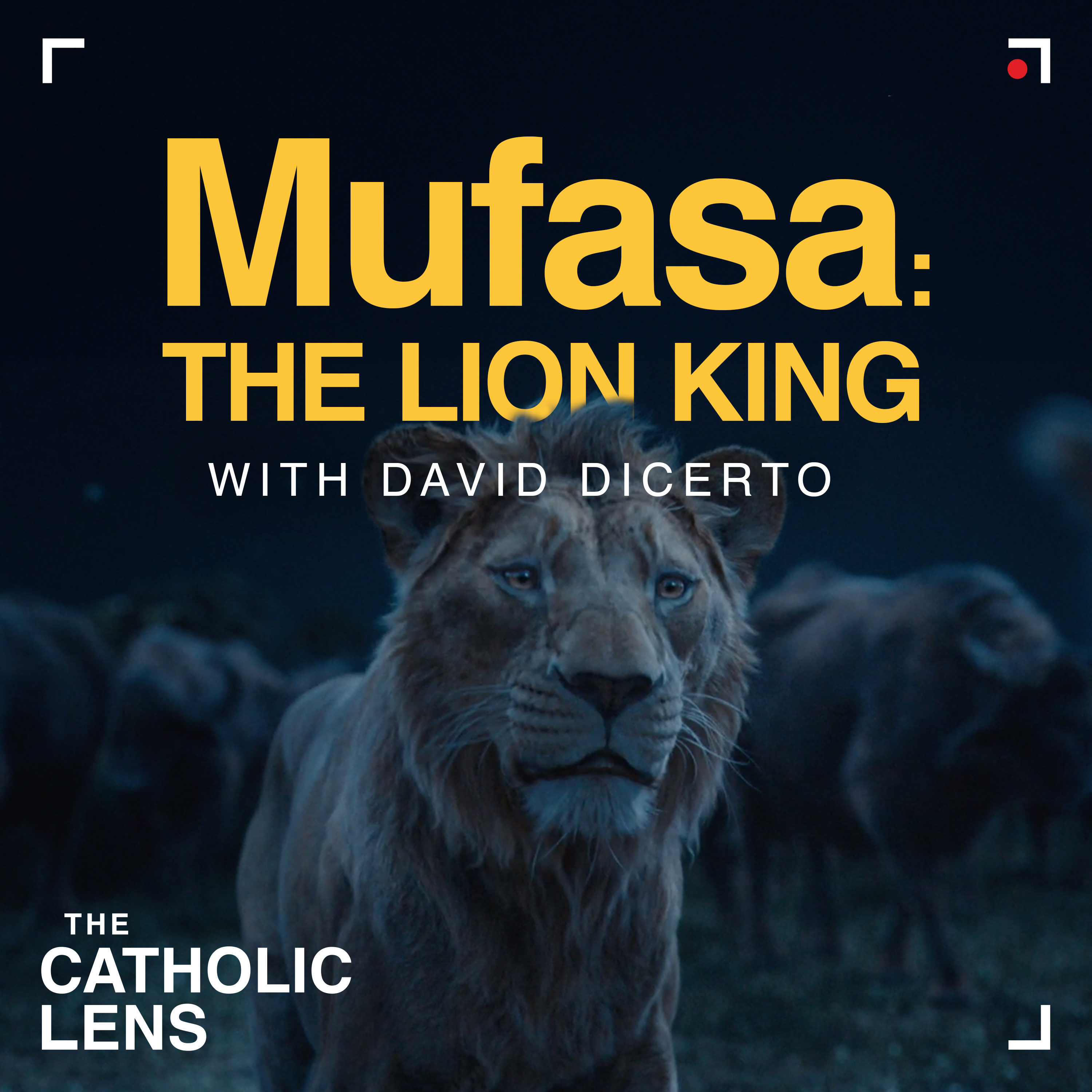 The Catholic Lens