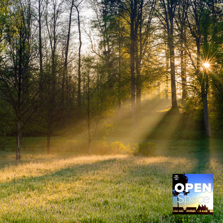 Introducing Guardians of Greenspaces — Episode 168