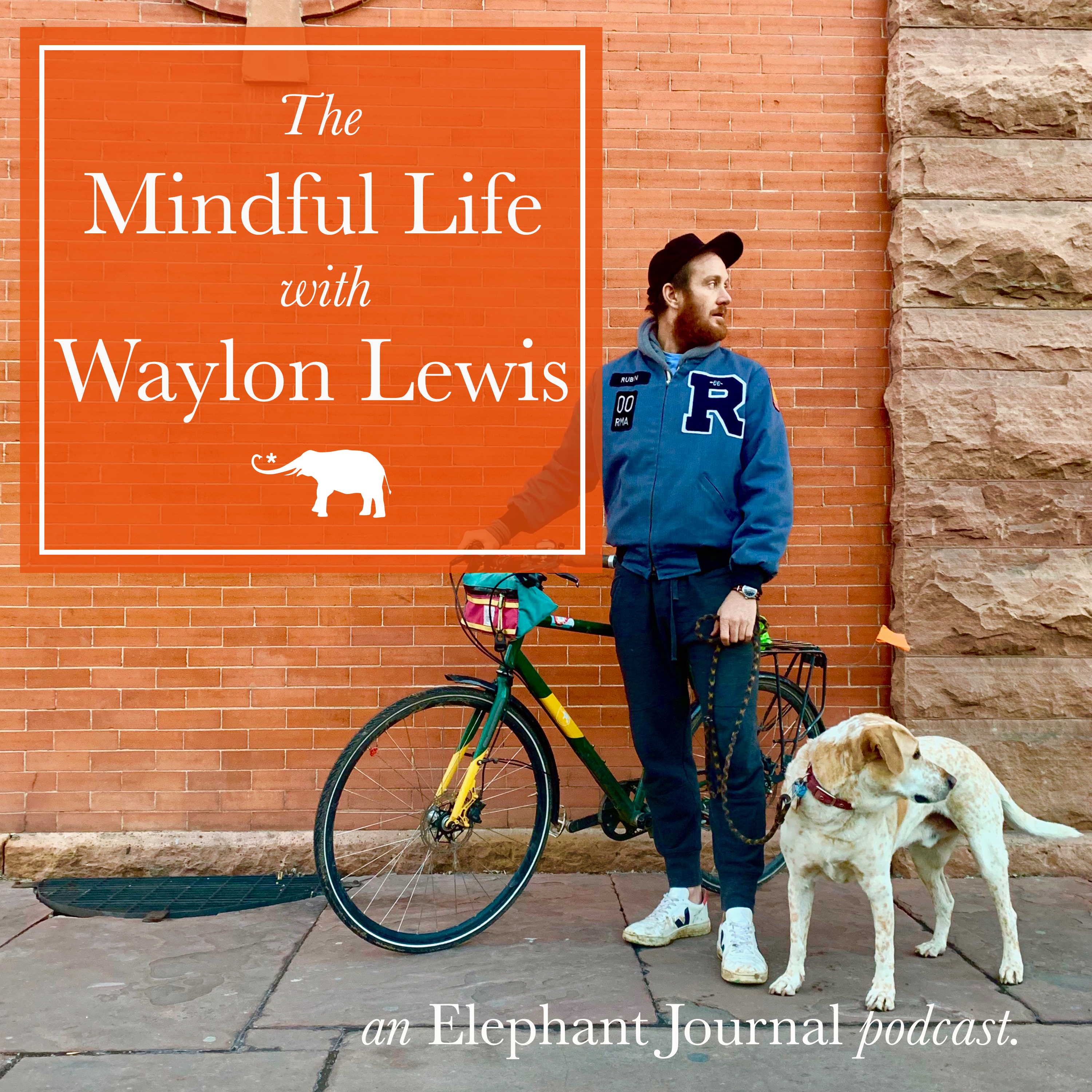 03: How, Why, & When to Meditate.