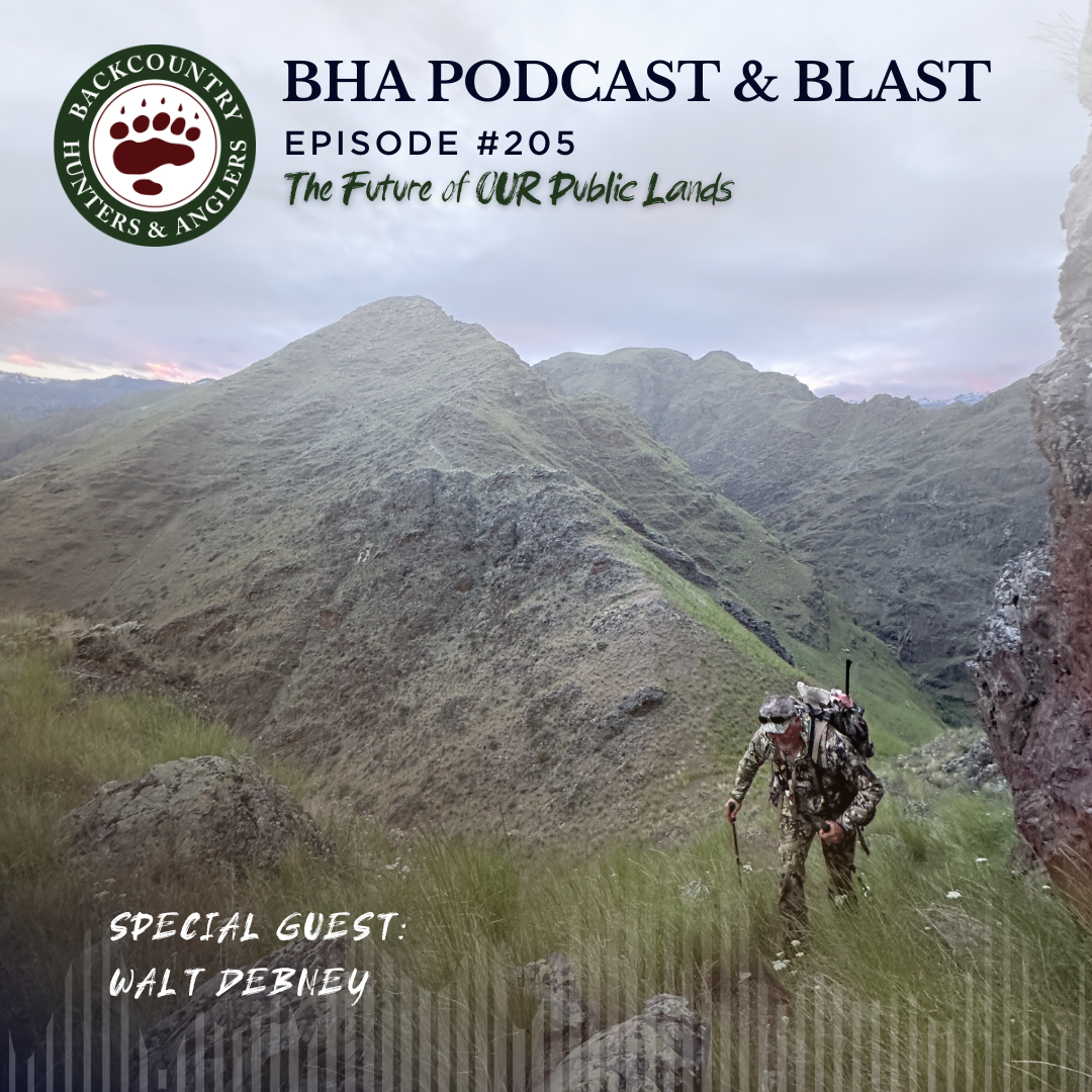 cover of episode The Future of OUR Public Lands with Walt Dabney
