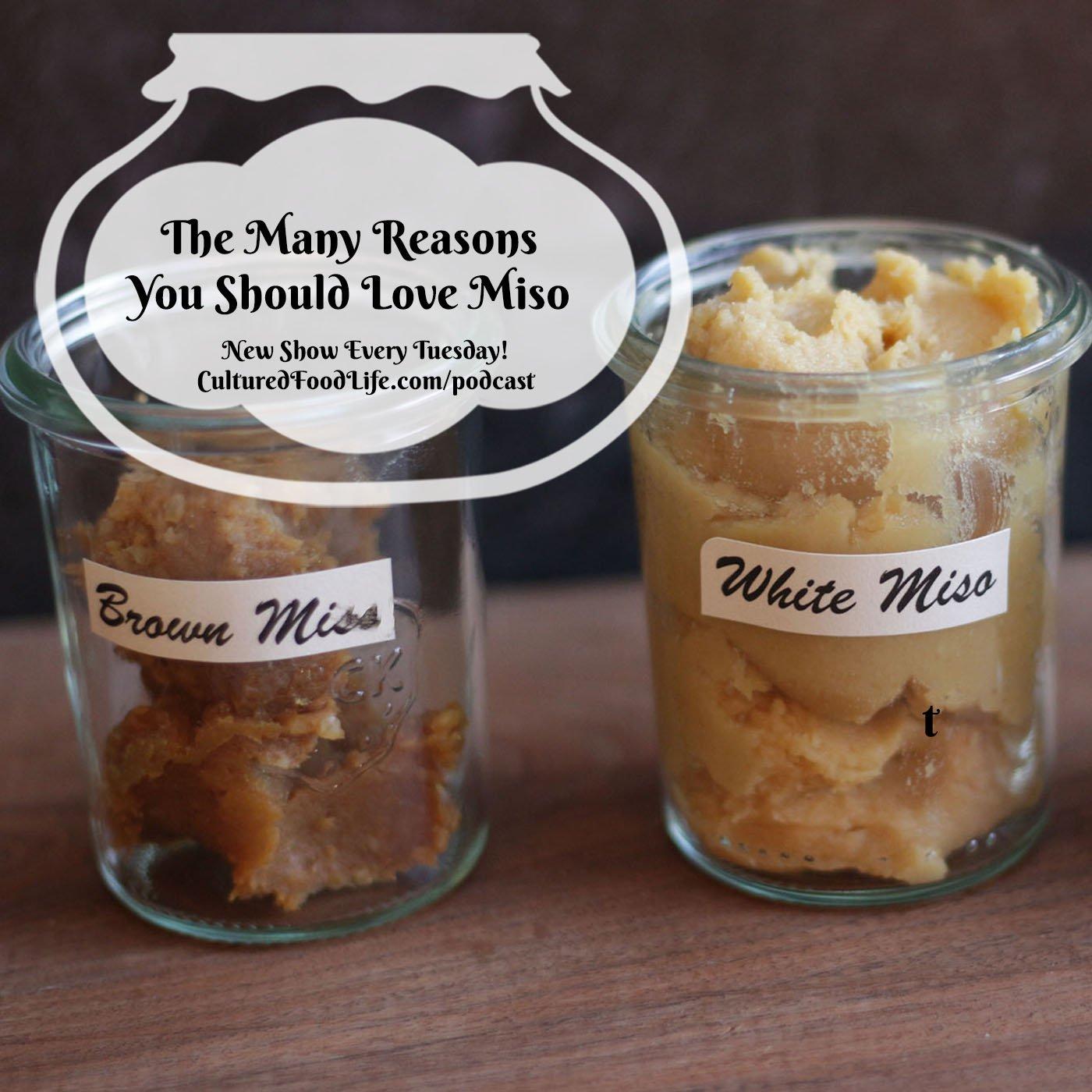 Episode 140: The Many Reasons You Should Love Miso