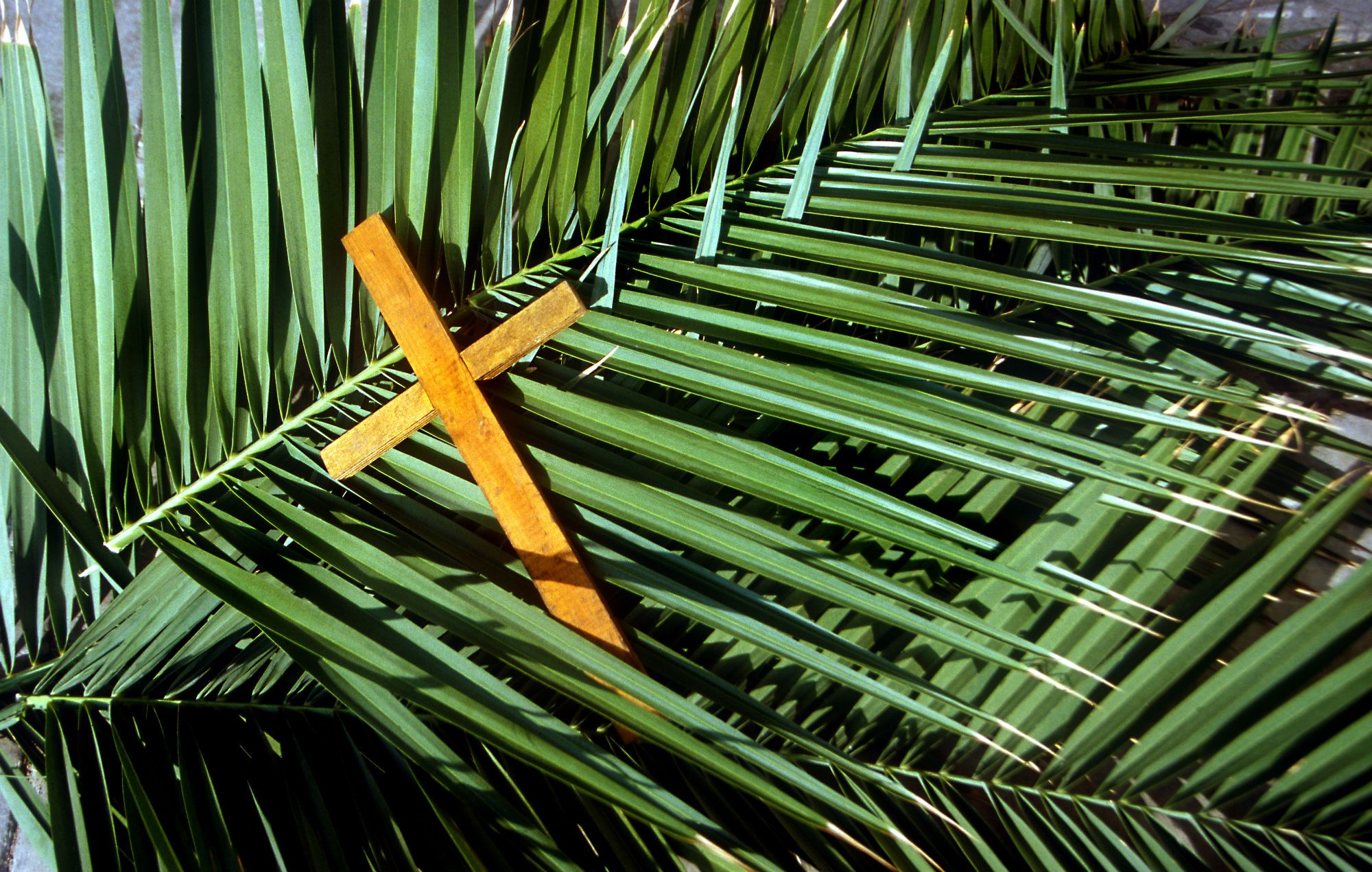 Palm Sunday Service