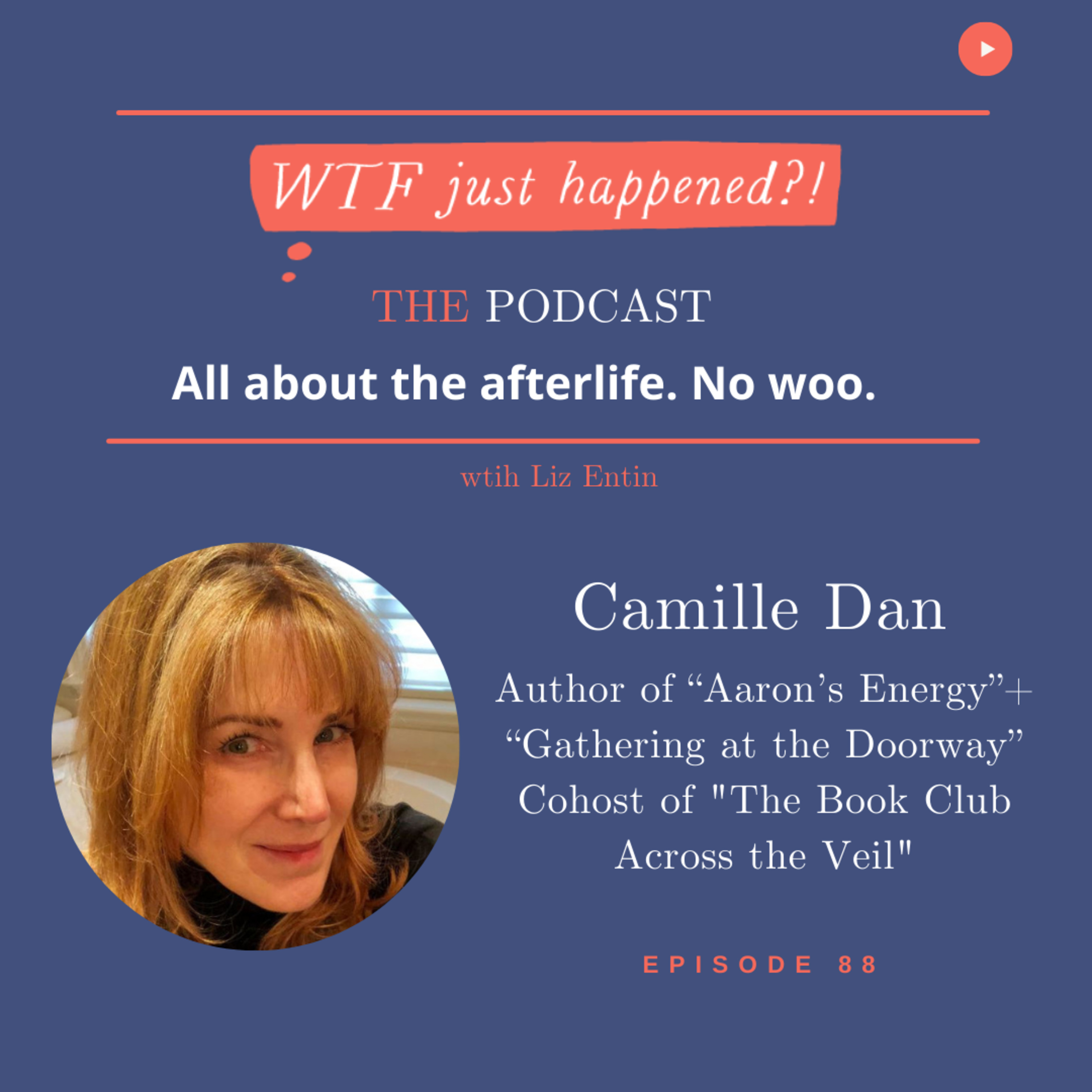 WTF Just Happened?!: All about the afterlife. No woo.