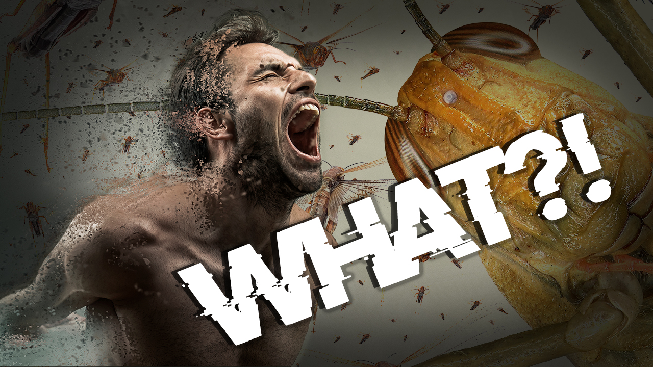 Natural Disasters You've Never Heard Of: Vol. 2 = DFF