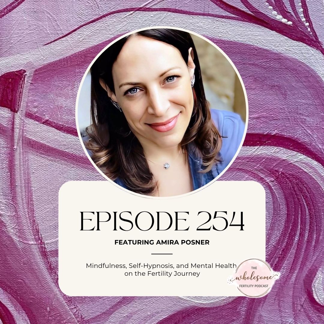 Wholesome Fertility Podcast