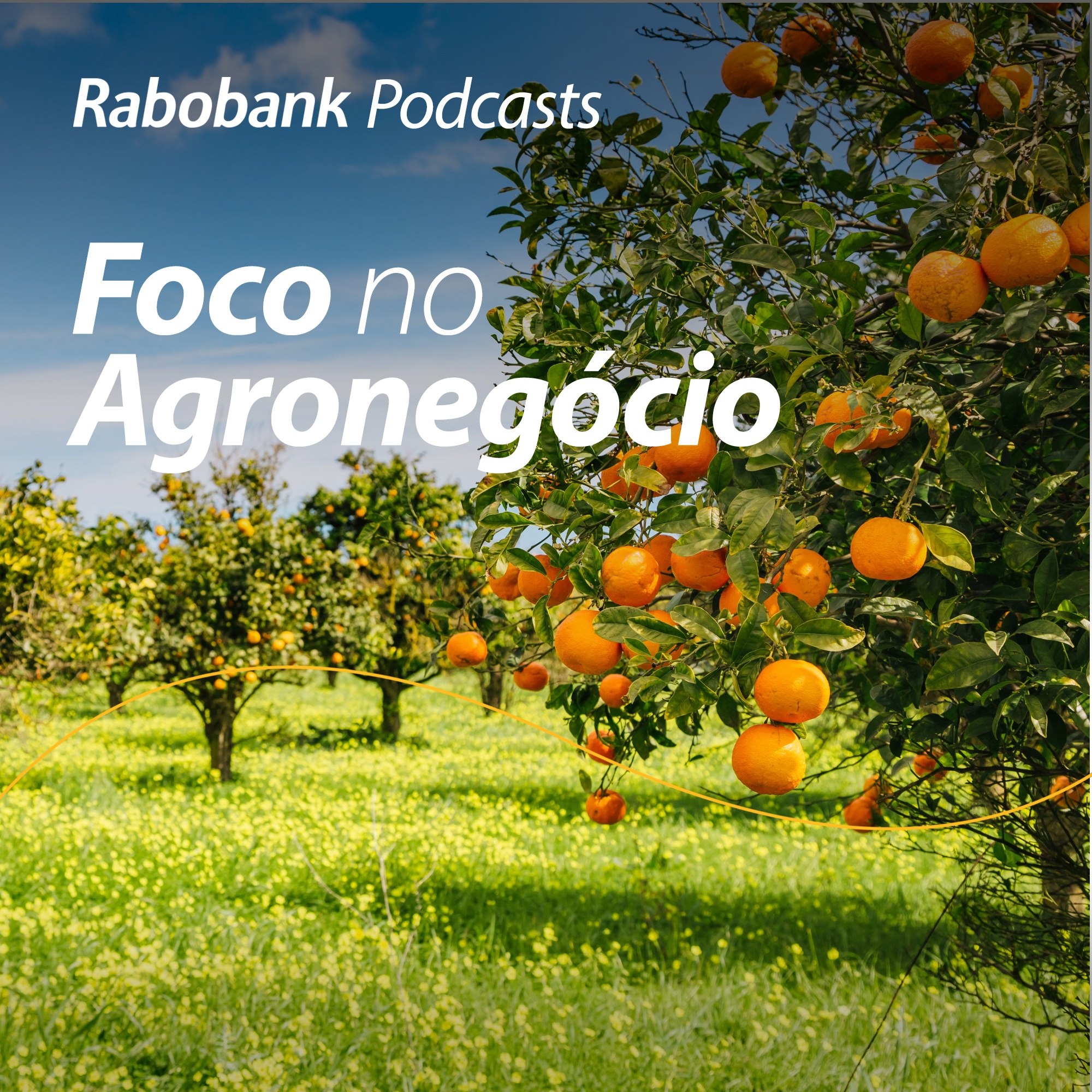 Foco no Agronegócio - Pesquisa Setorial