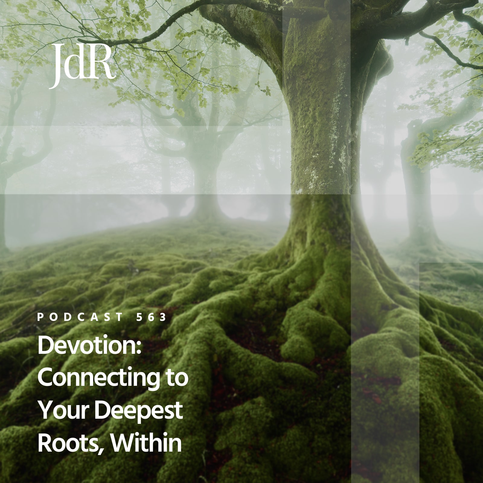 JdR Podcast 563 - Devotion: Connecting to Your Deepest Roots, Within