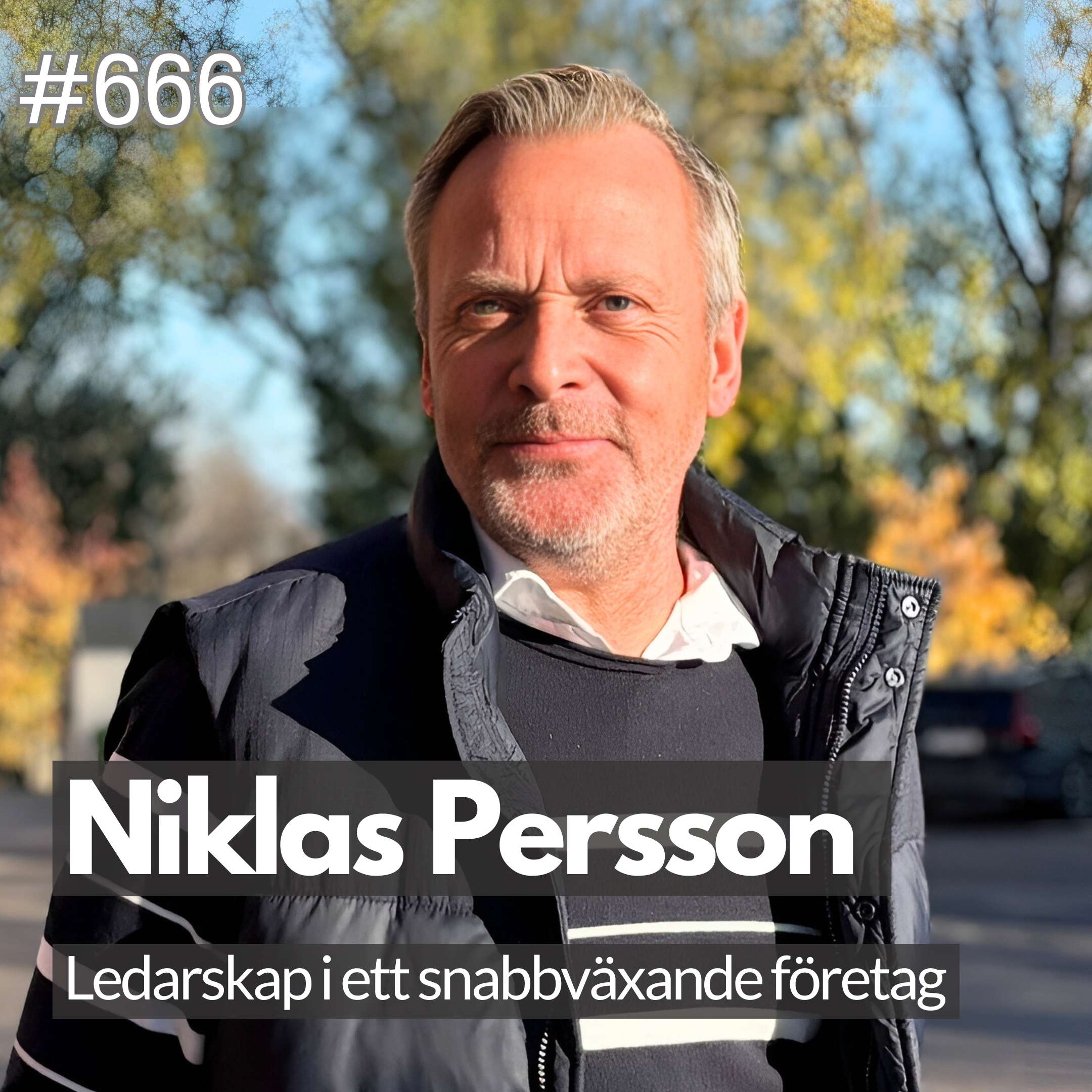 Entreprenörsdriv