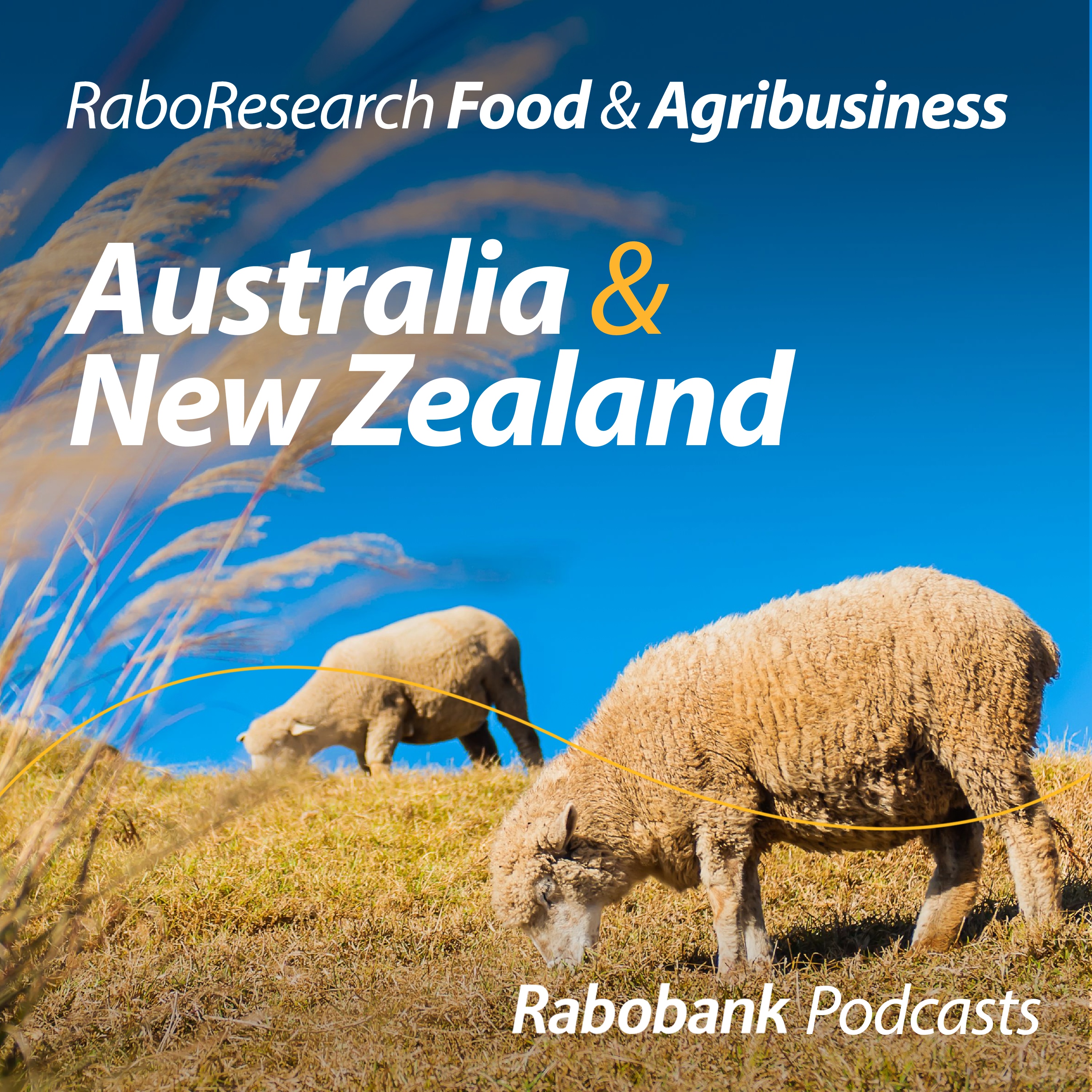 Australian wool prices push higher
