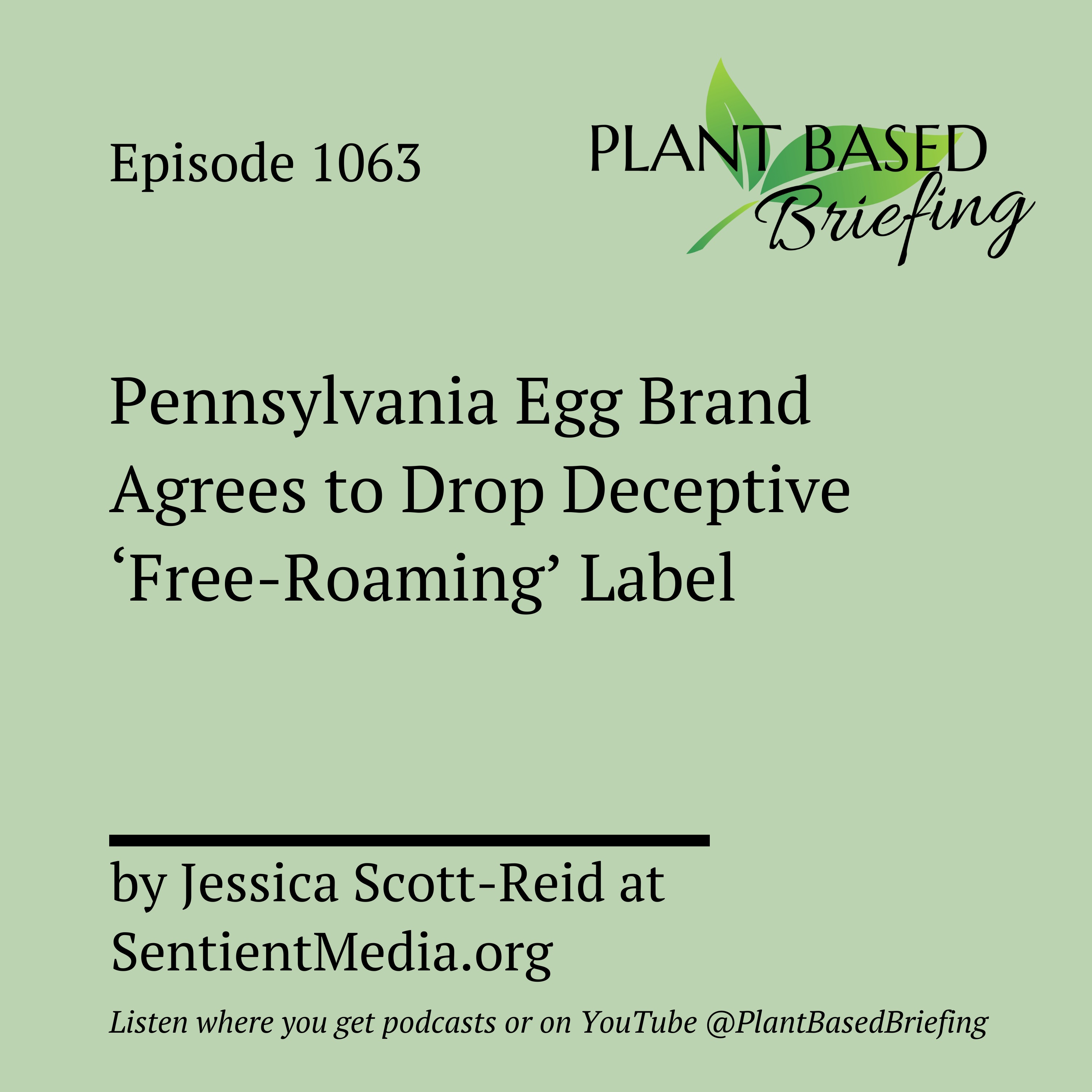 Plant Based Briefing