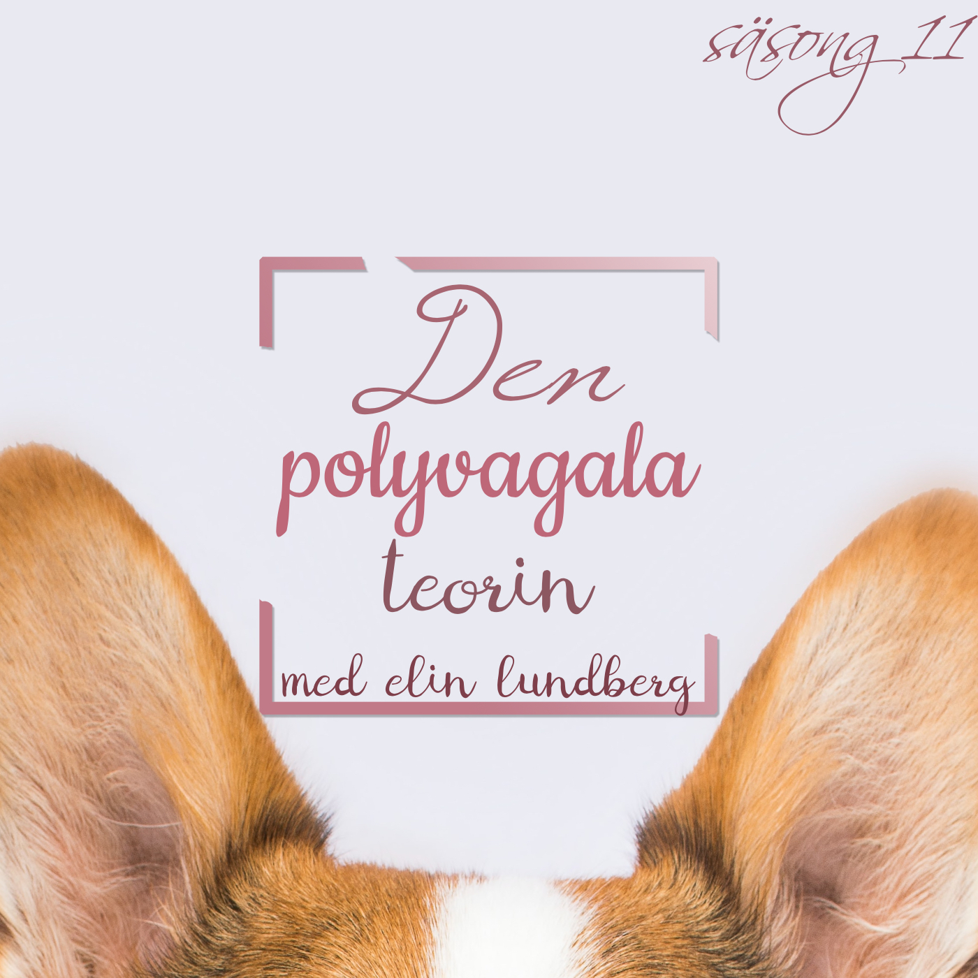 Hundpodden Vår Bästa Vän