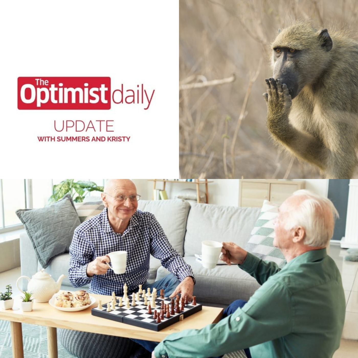 The Optimist Daily\'s Weekly Roundup
