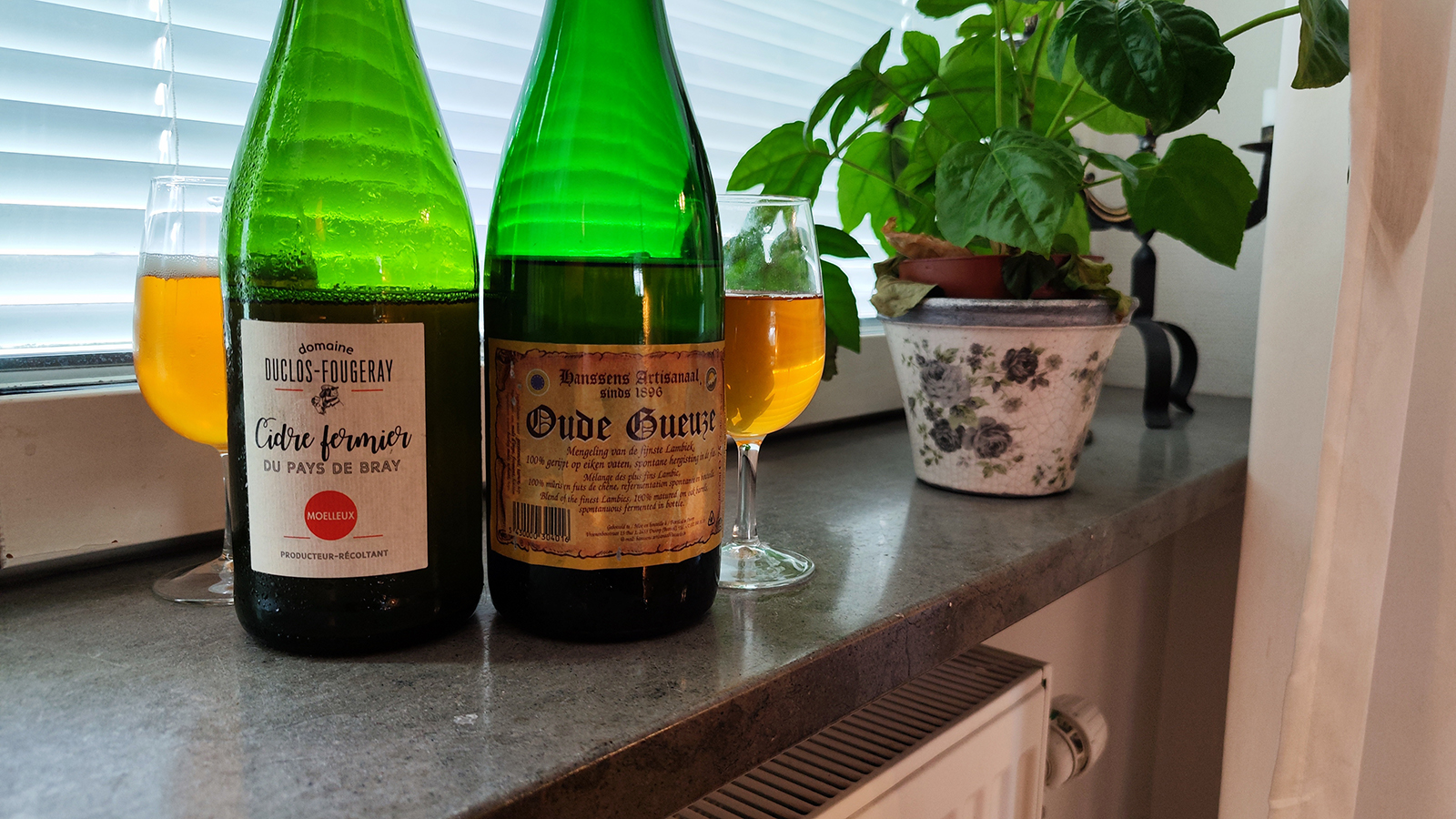 what\'s on tap podcast