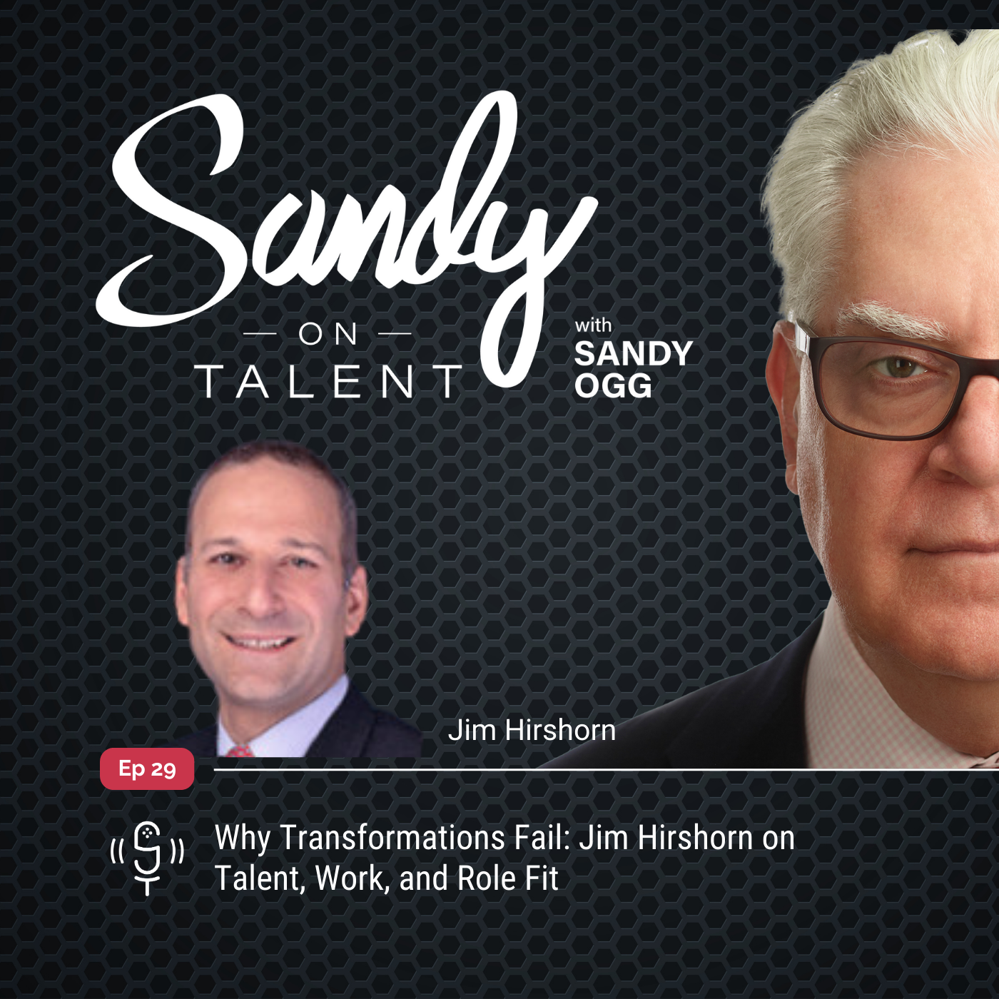Sandy on Talent - Insights and Strategies for Leadership Excellence and Talent Optimization