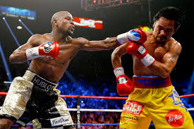 The Wild Will Throwdown