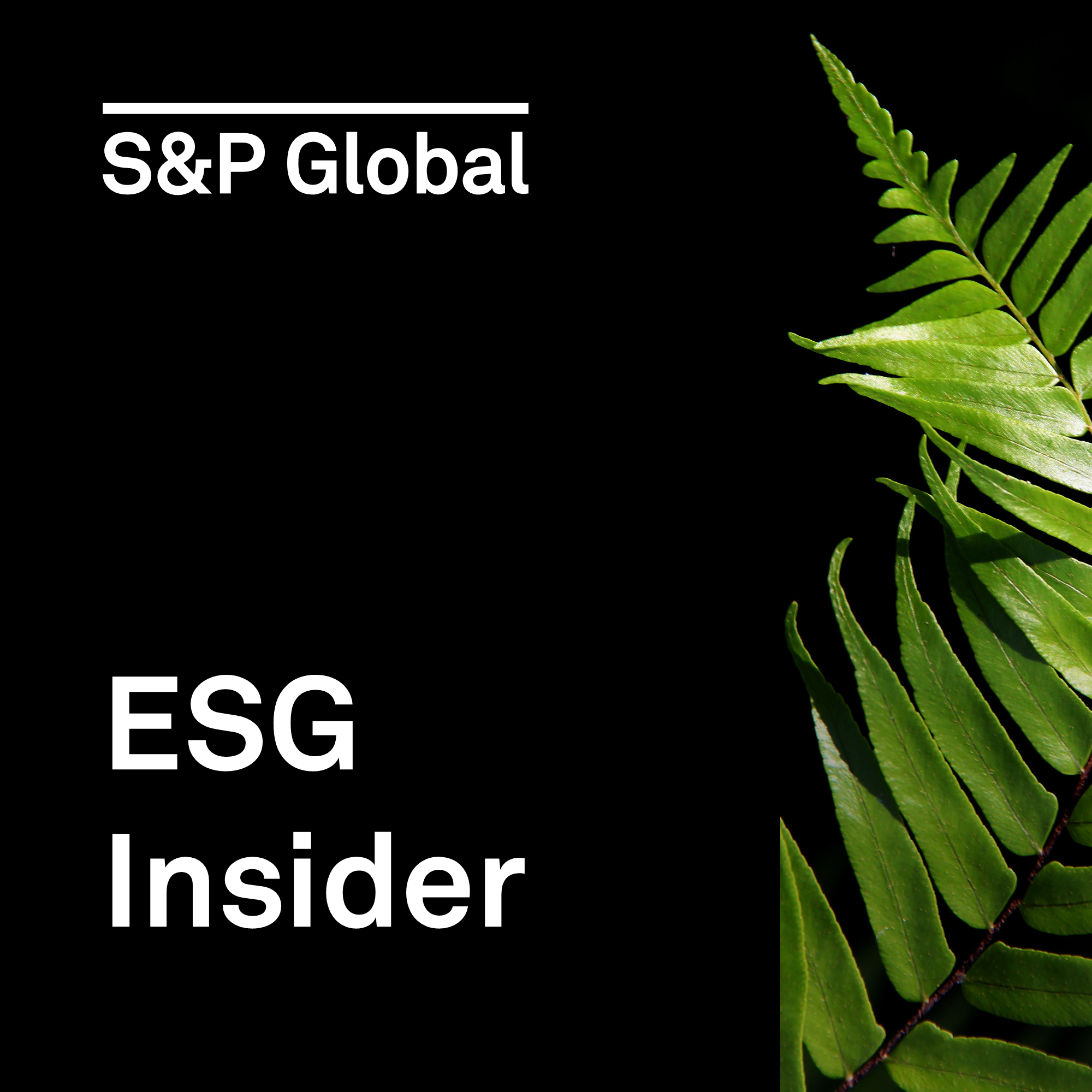 cover of episode Talking international sustainability standards with ISSB’s Sue Lloyd