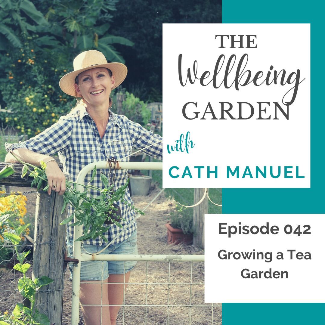 Growing a Tea Garden