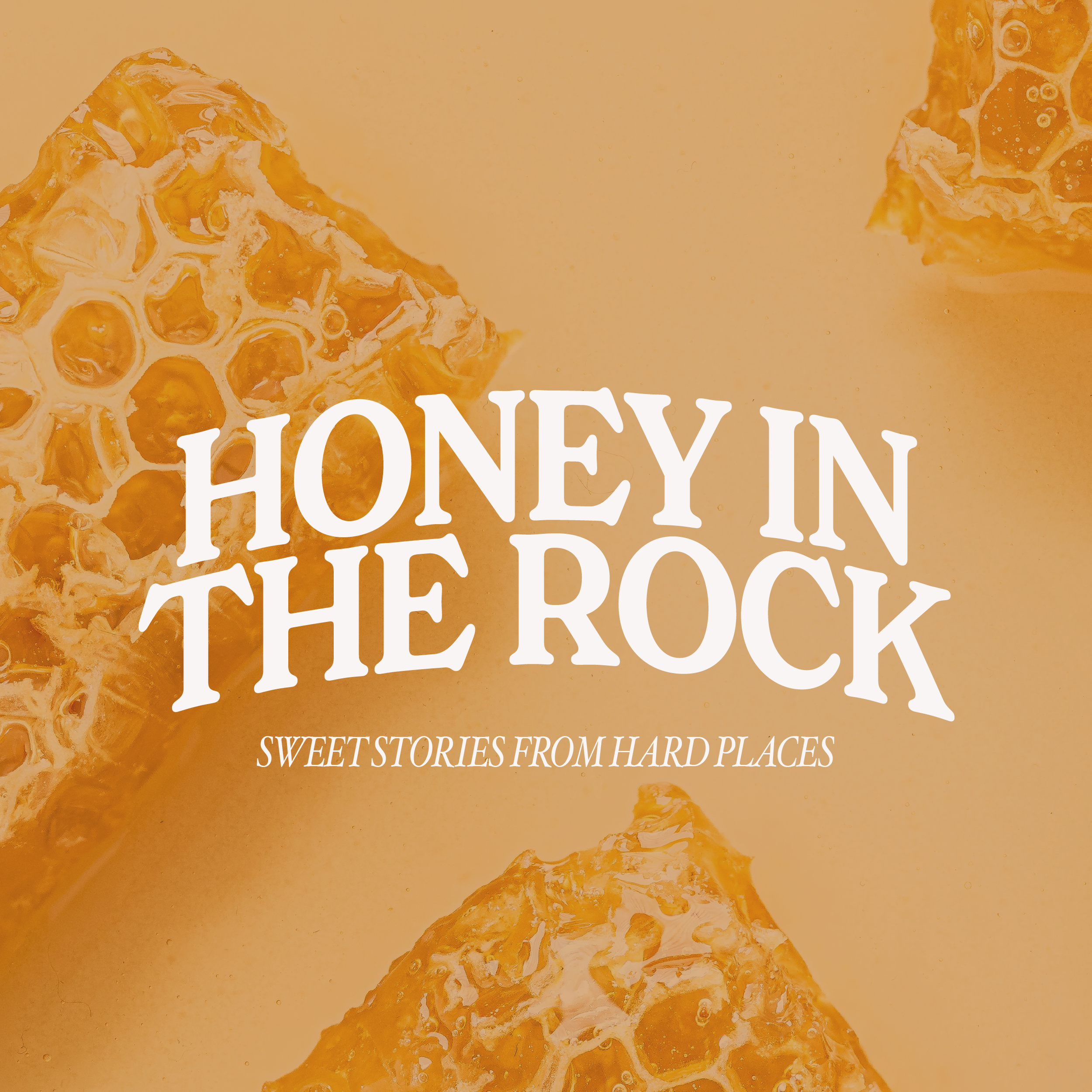 Honey in the Rock