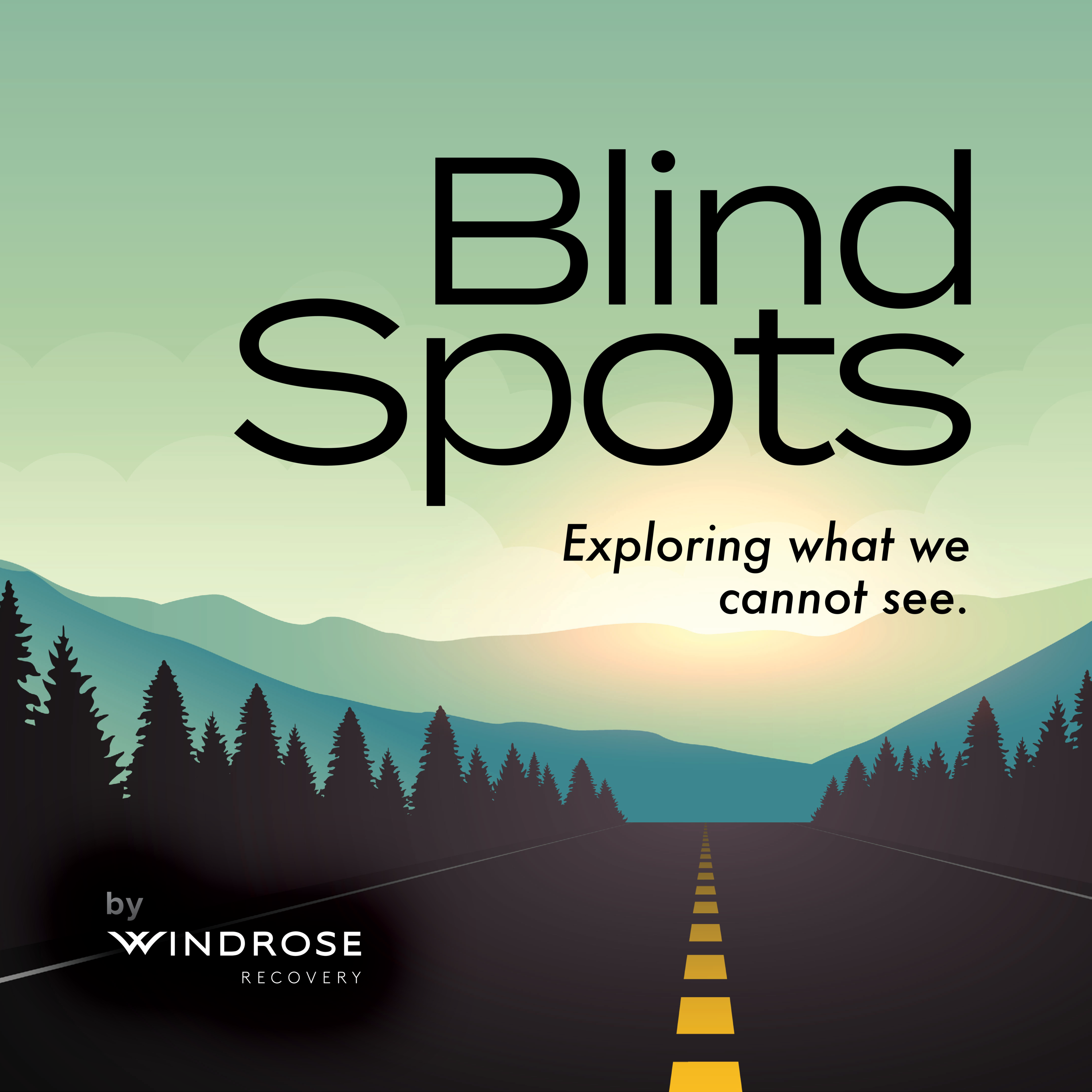 Welcome To Blind Spots: Exploring What We Cannot See