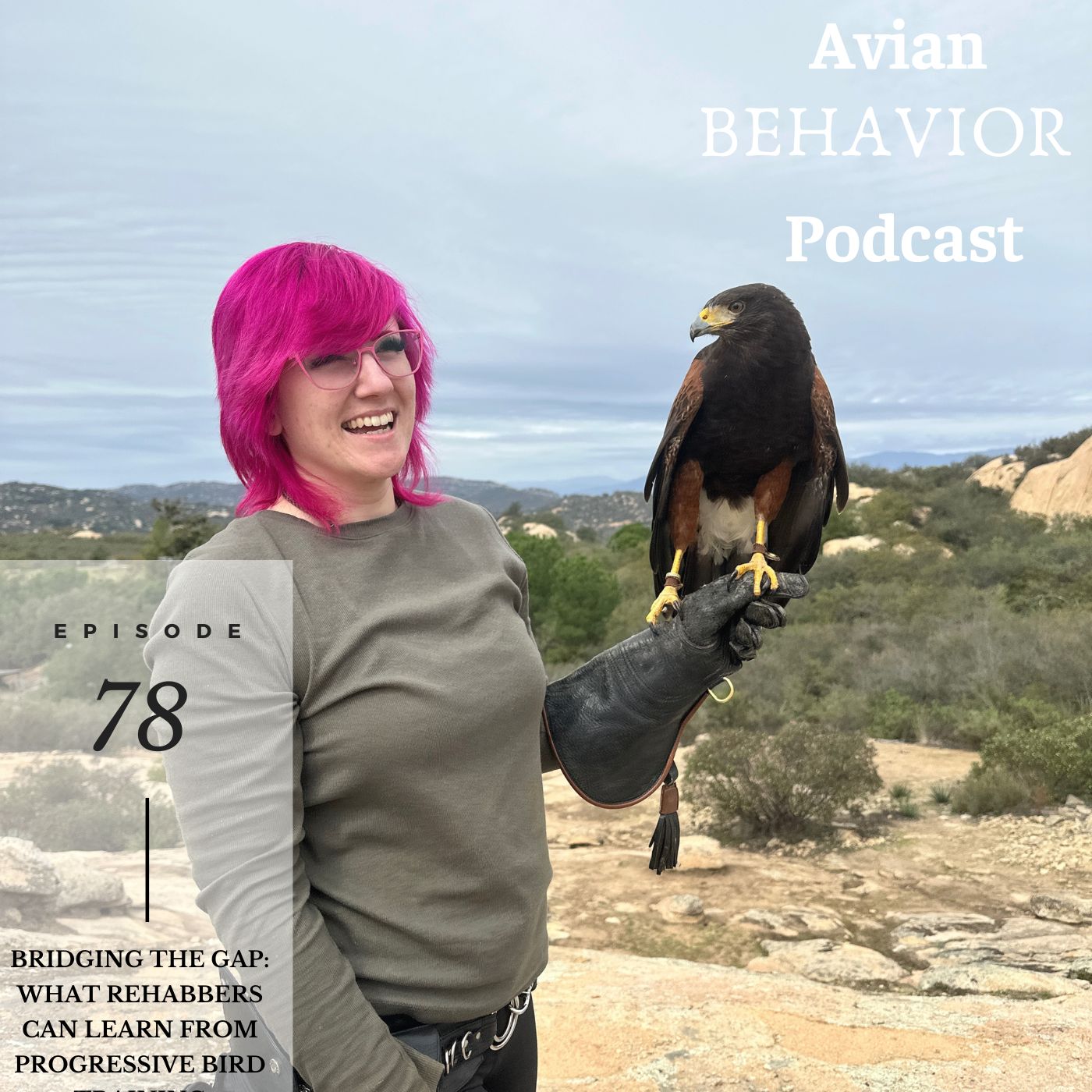 The Avian Behavior Podcast